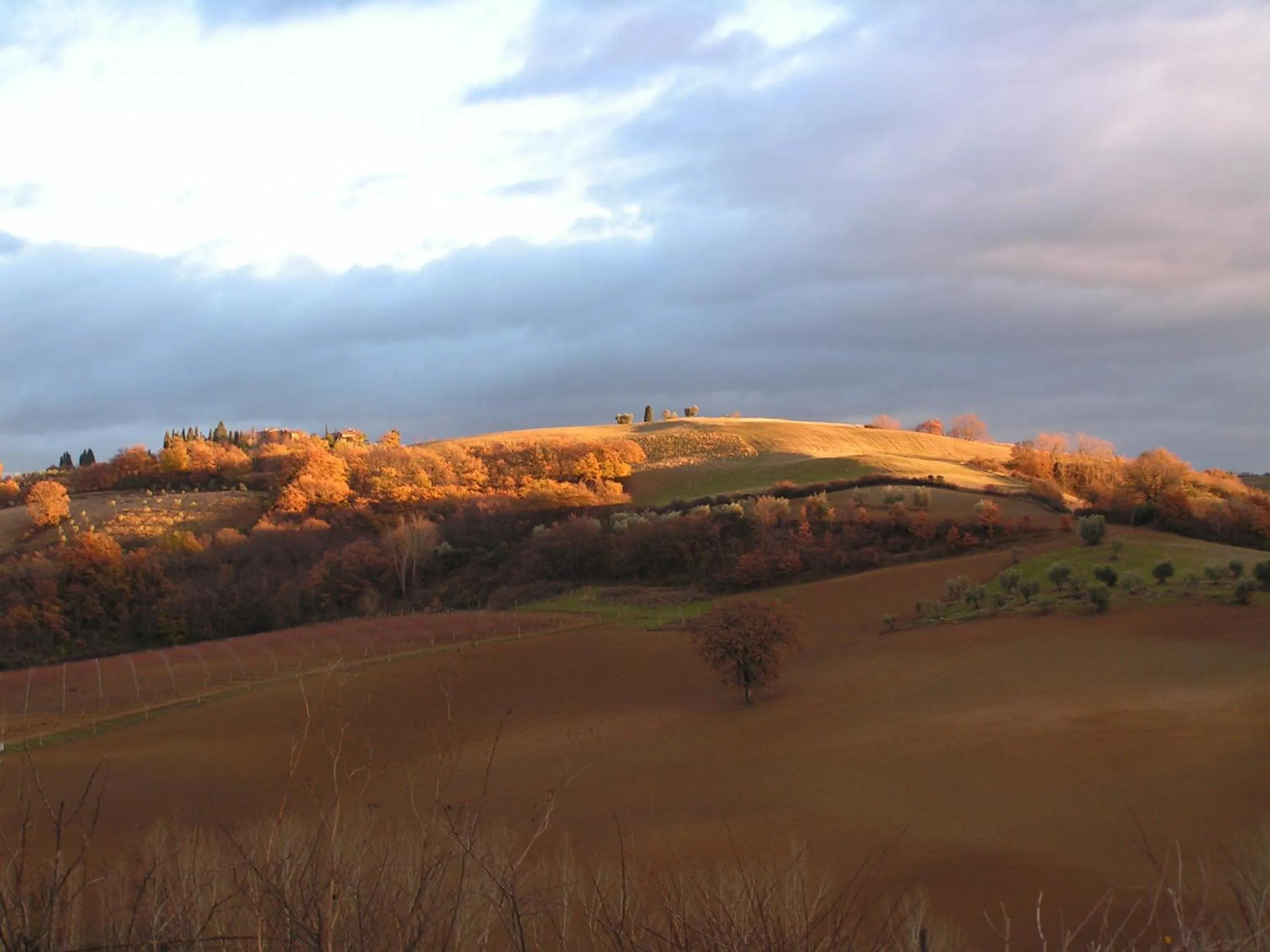 Natural landscape in Villa San Sanino - Relais in Tuscany