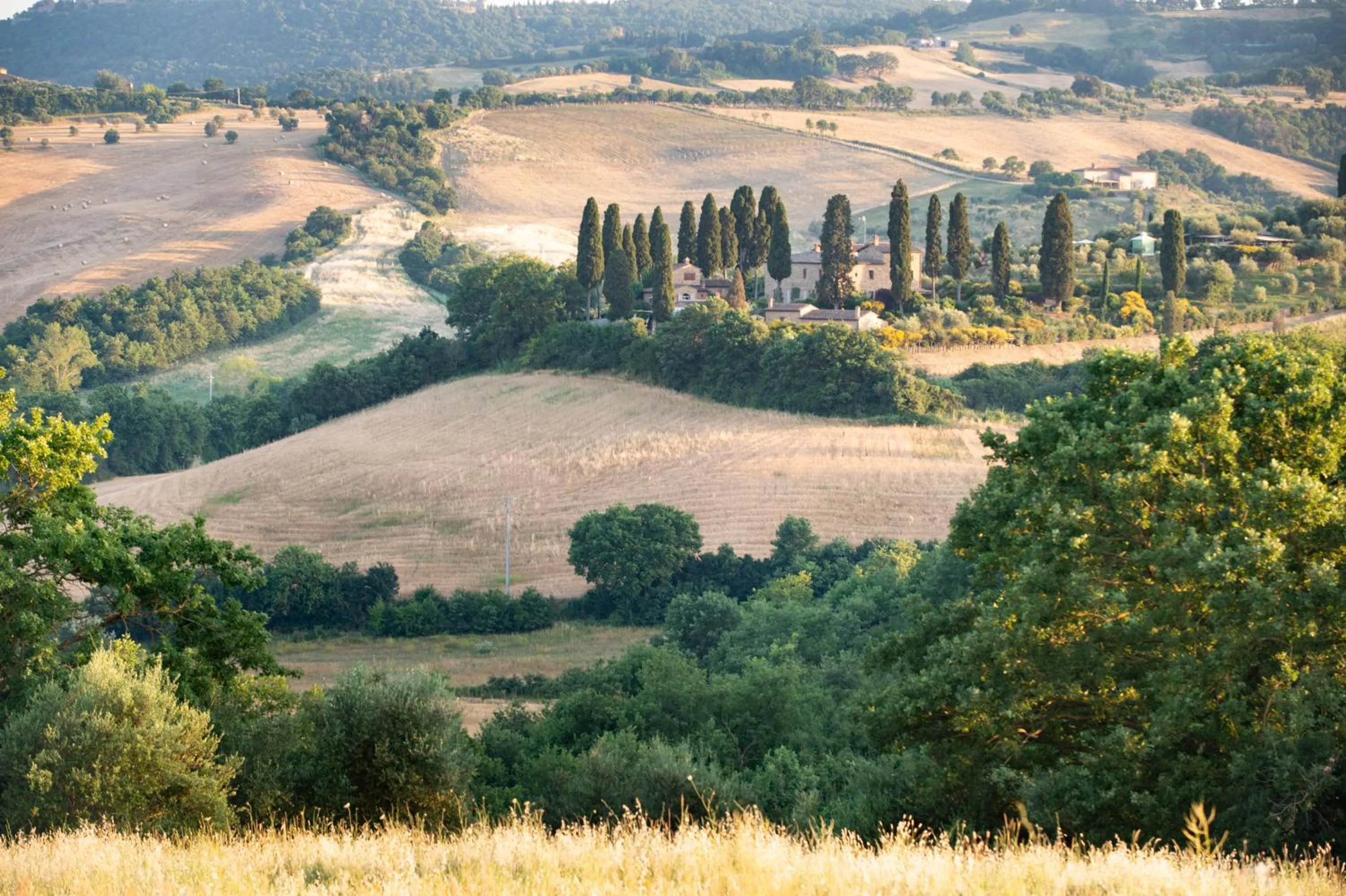 Facade/entrance in Villa San Sanino - Relais in Tuscany