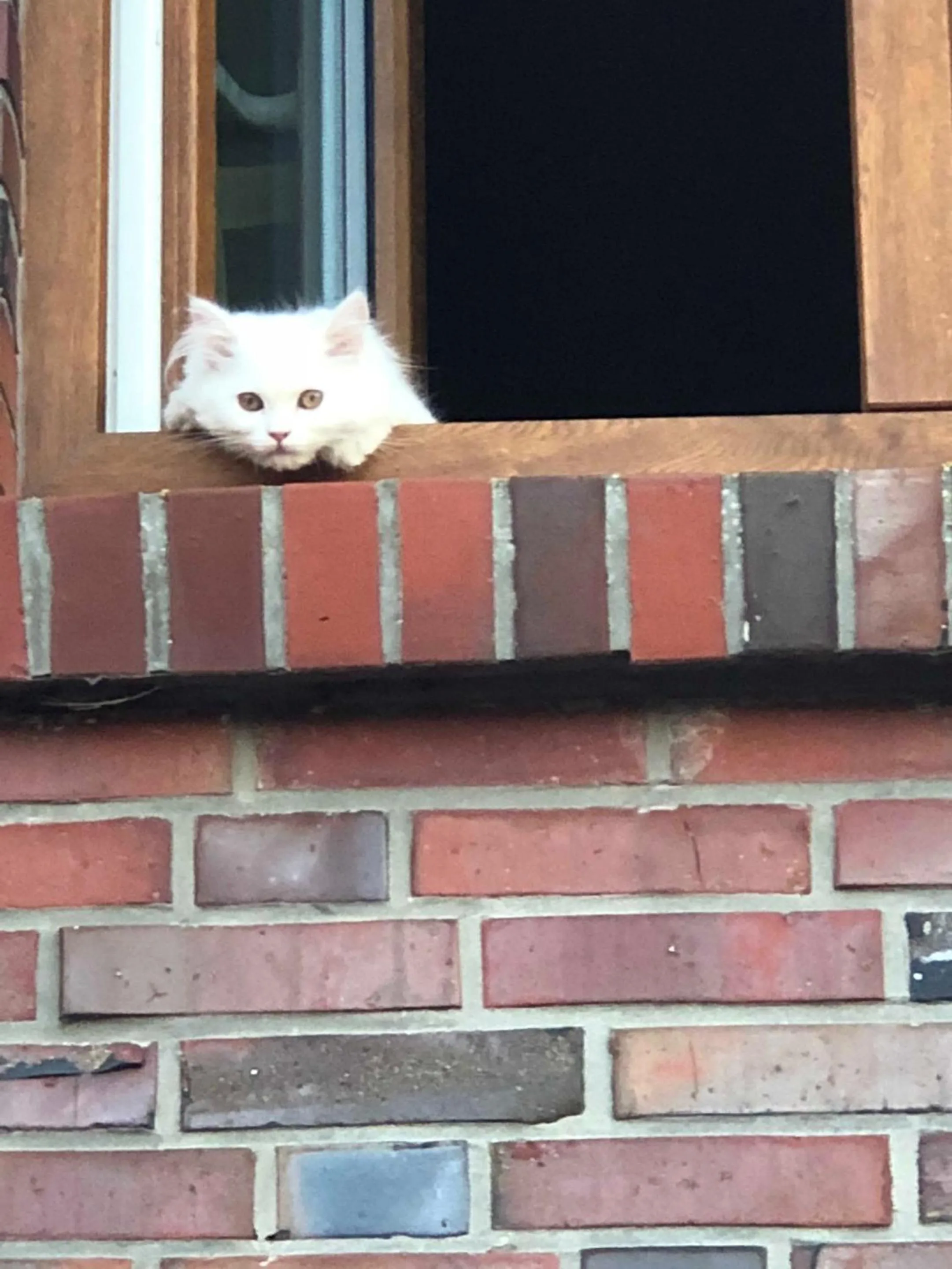 Other in Hillrichshof