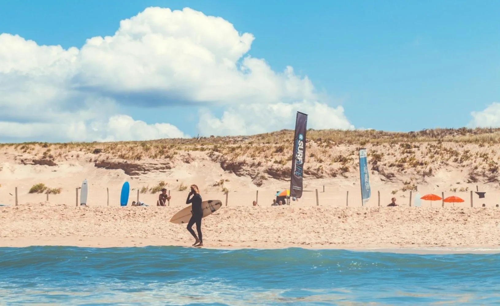 Beach in Single Fin Hotel & Lodge