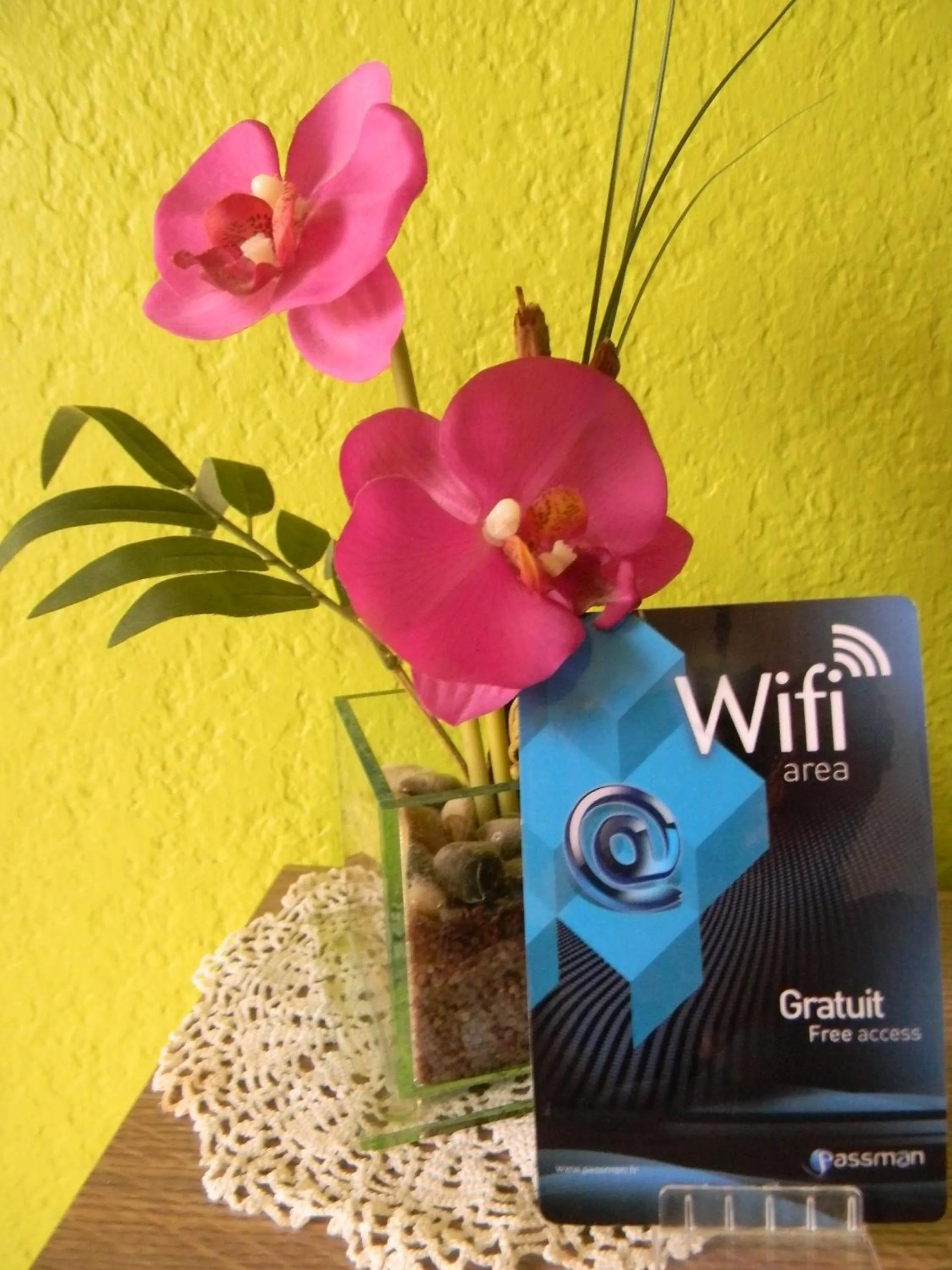 TV and multimedia in Résidence Hôtelière Hélios