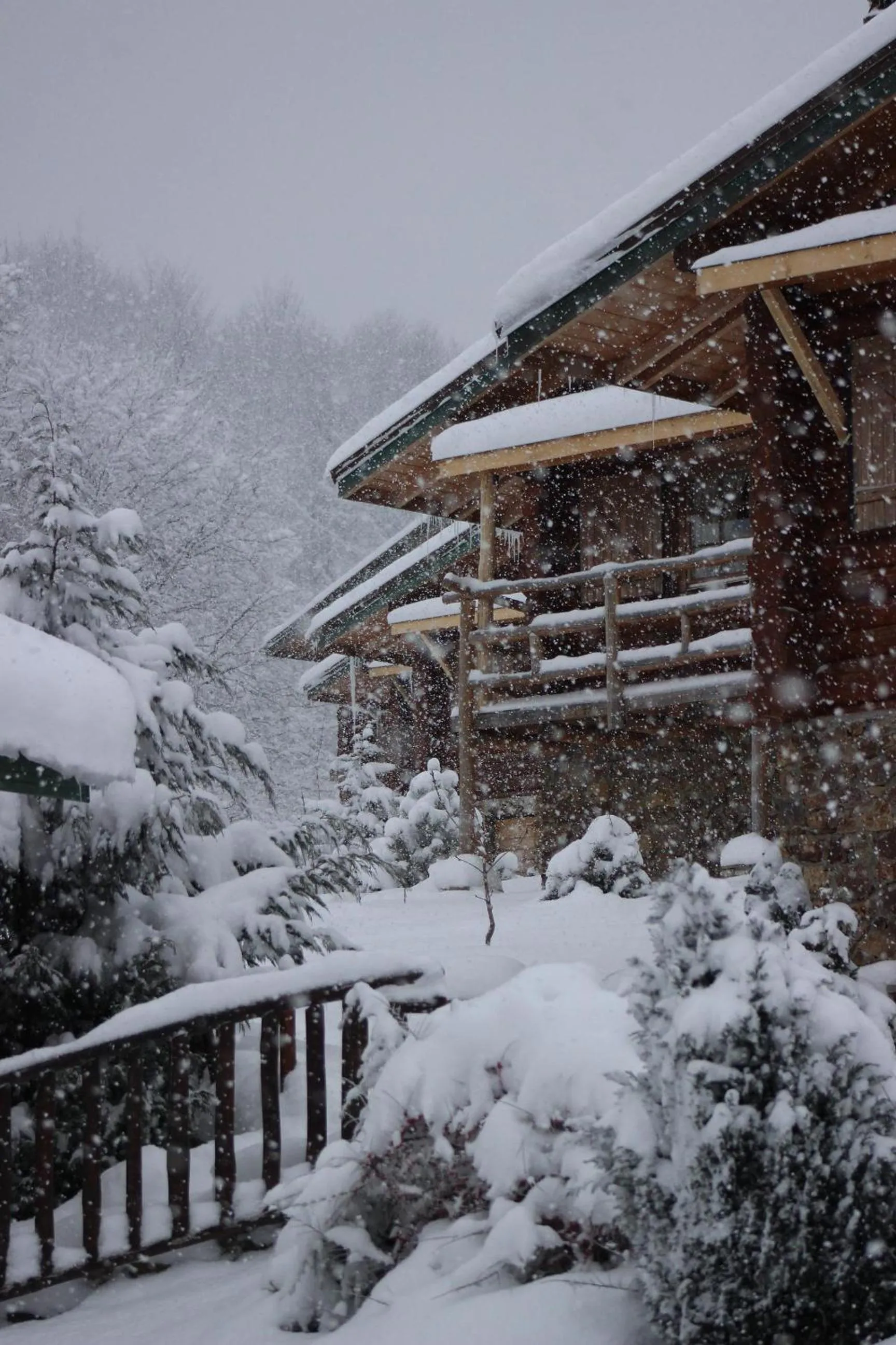 Winter in Sfendamos Wood Village