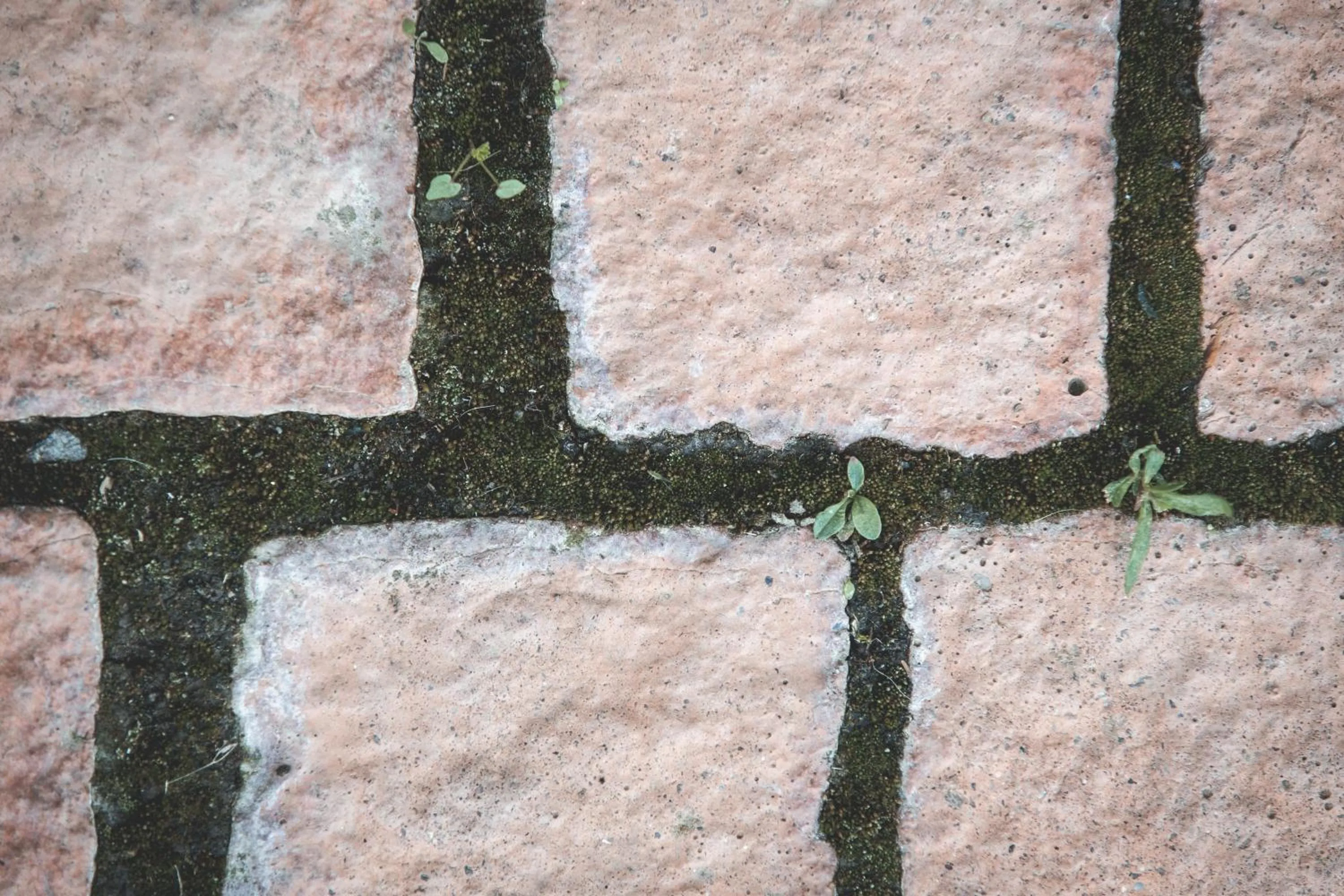 Off site in Sfendamos Wood Village