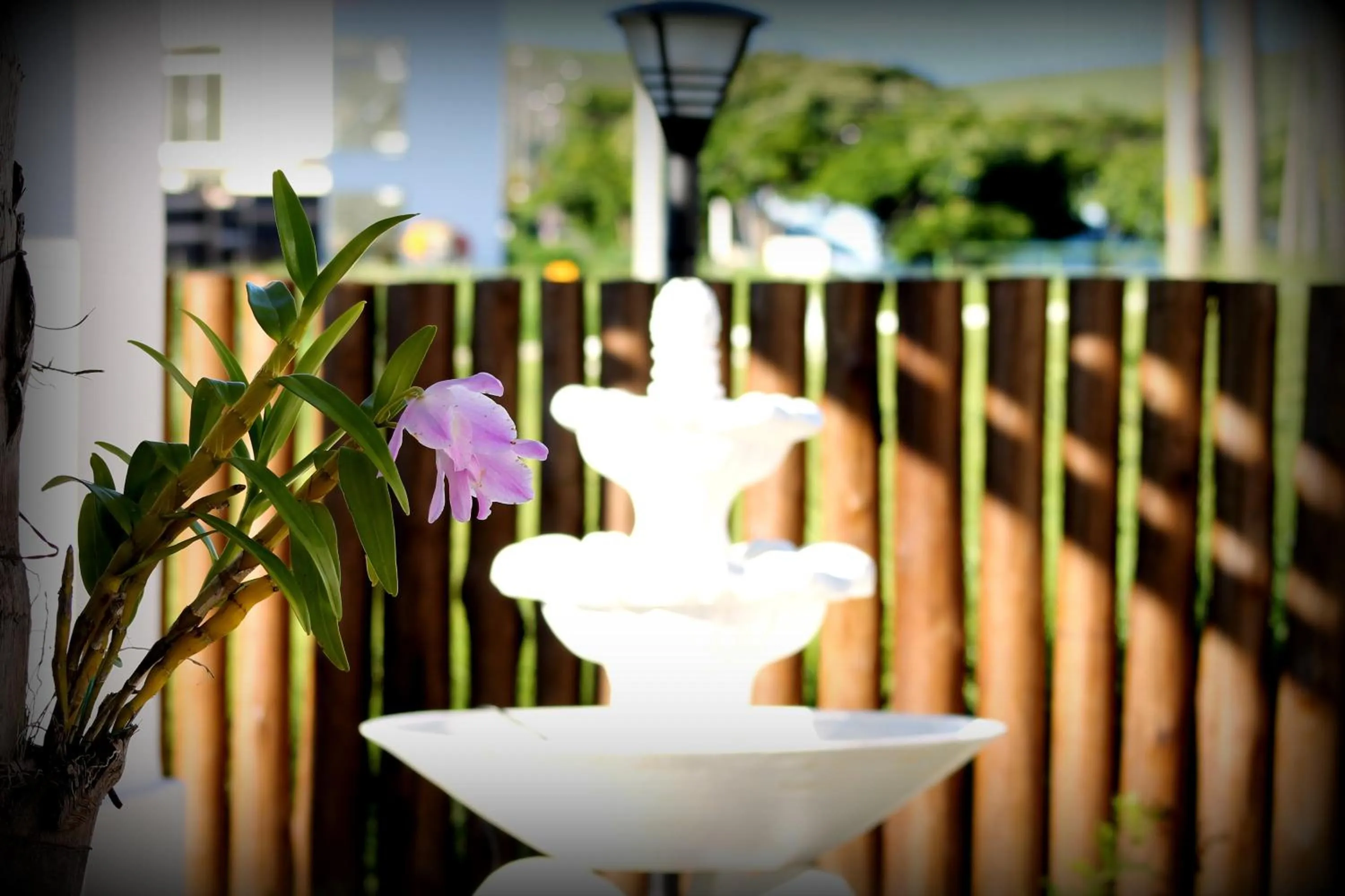 Balcony/Terrace in Hotel Água Viva - Cachoeira Paulista - SP - Próximo a Canção Nova