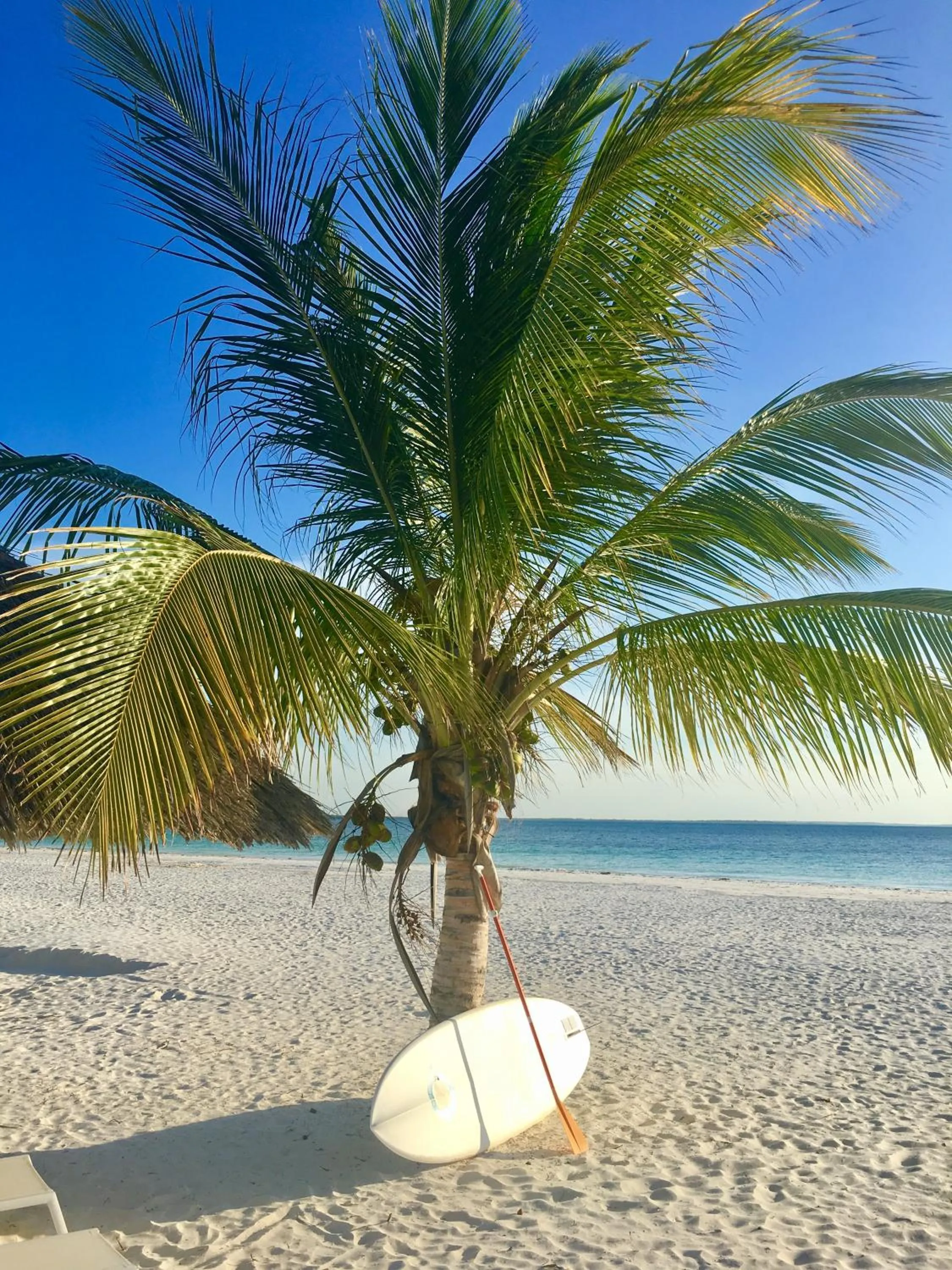 Beach in Konokono Beach Resort and Isaraya Luxury Overwater Villas
