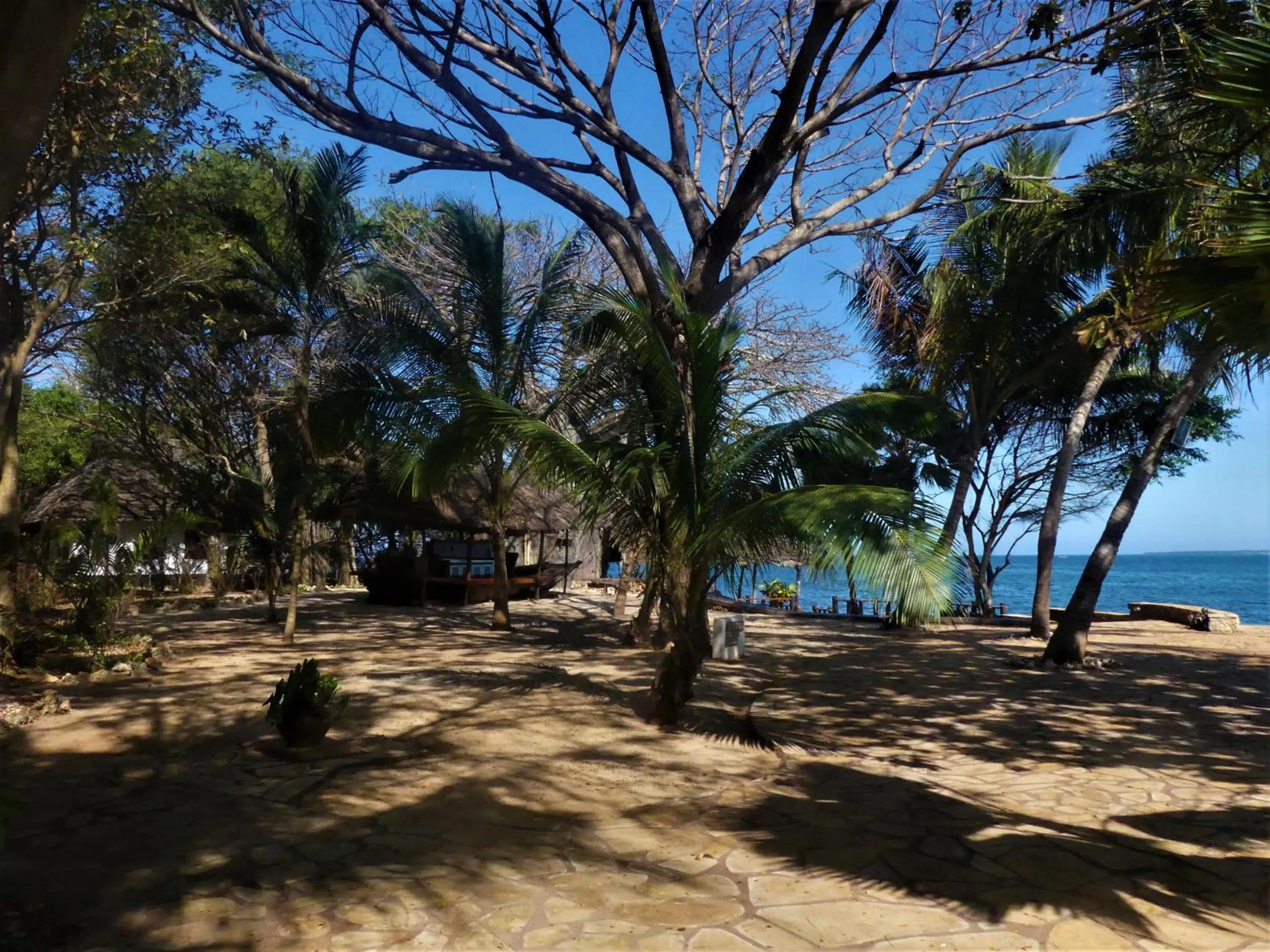 Lounge or bar in Fumba Beach Lodge