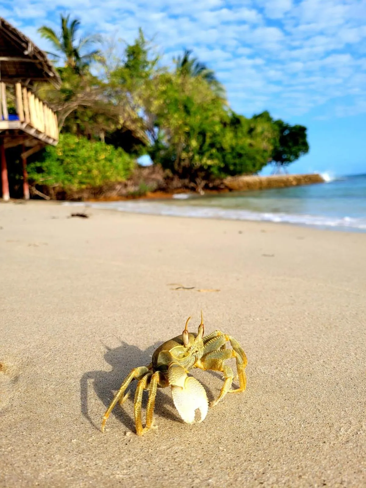 Beach in Fumba Beach Lodge
