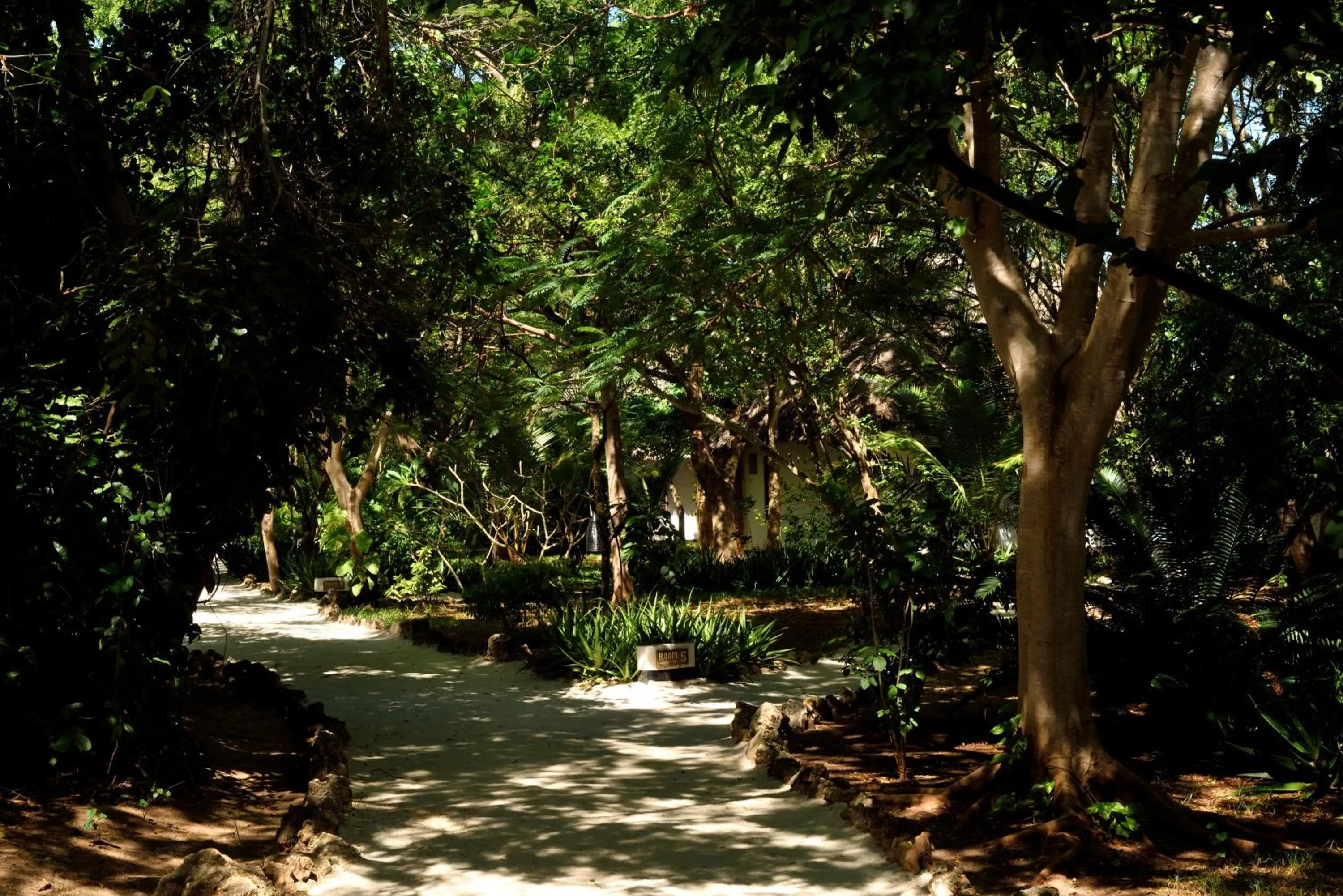 Garden in Fumba Beach Lodge