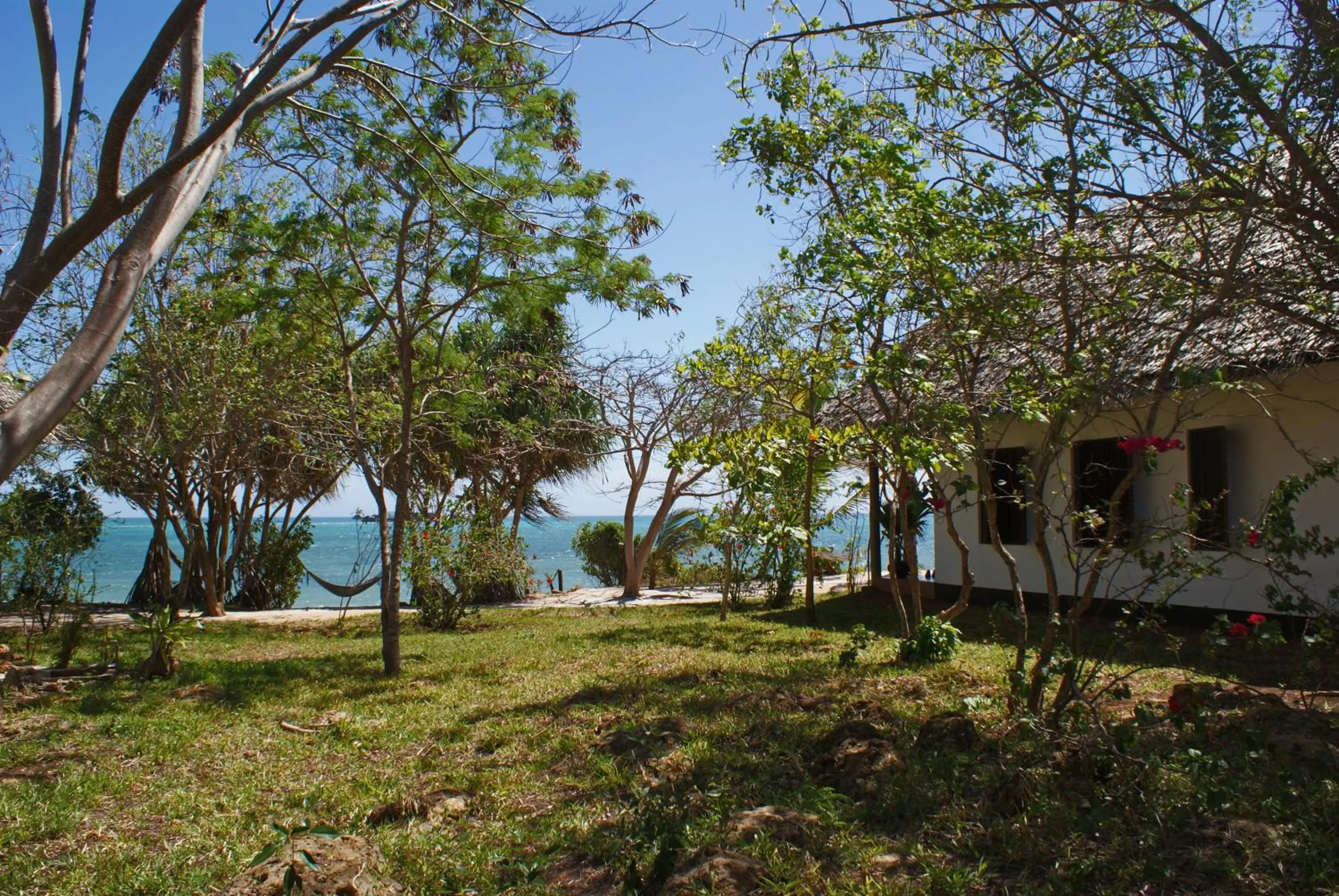 Garden in Fumba Beach Lodge