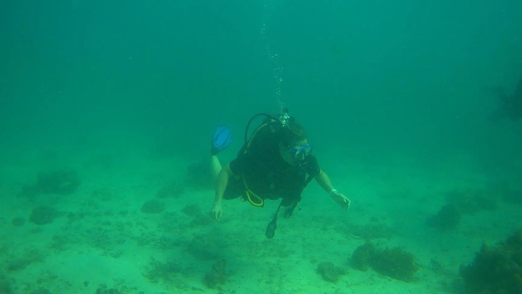 Diving in Fumba Beach Lodge