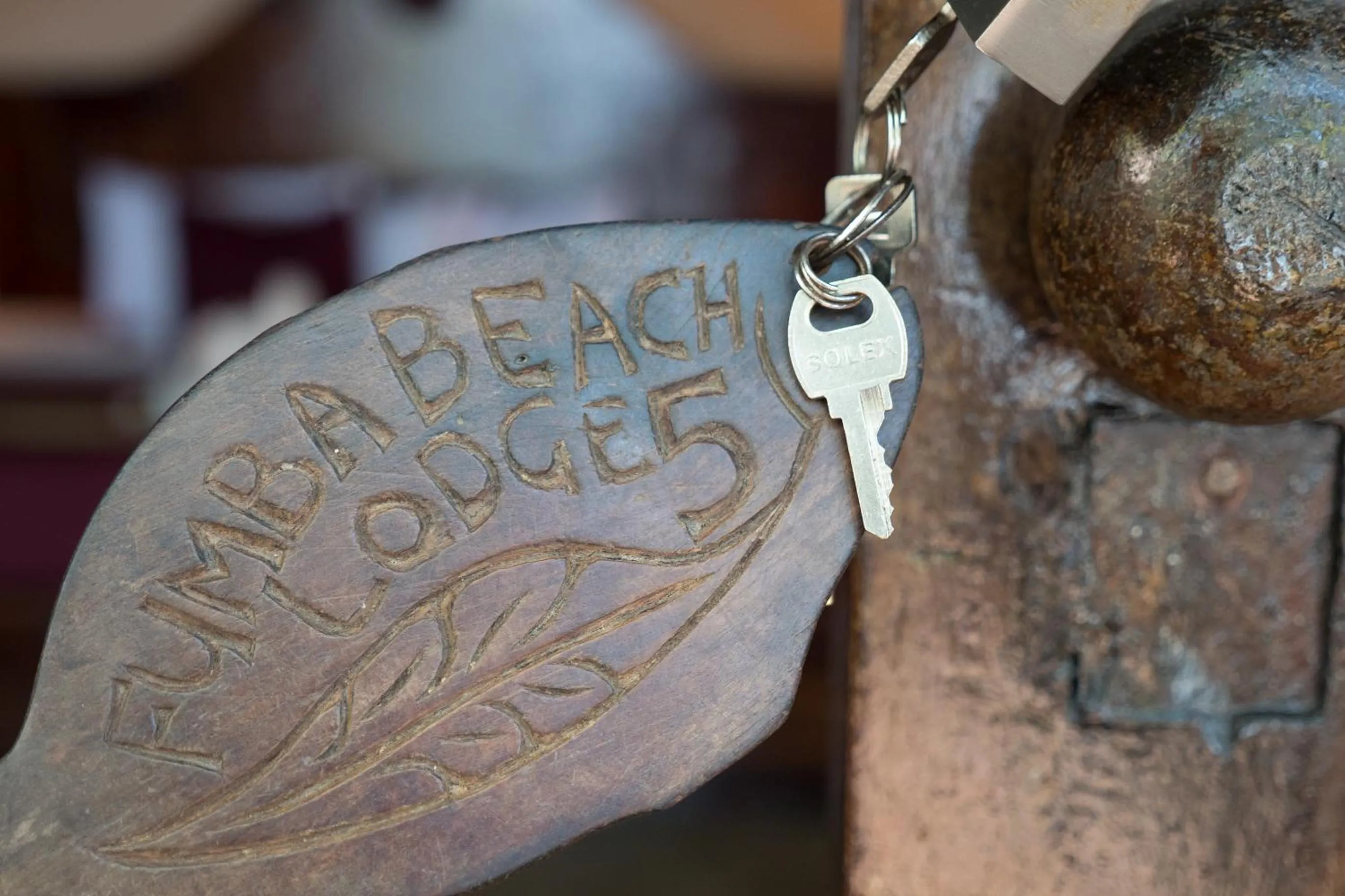 Decorative detail in Fumba Beach Lodge