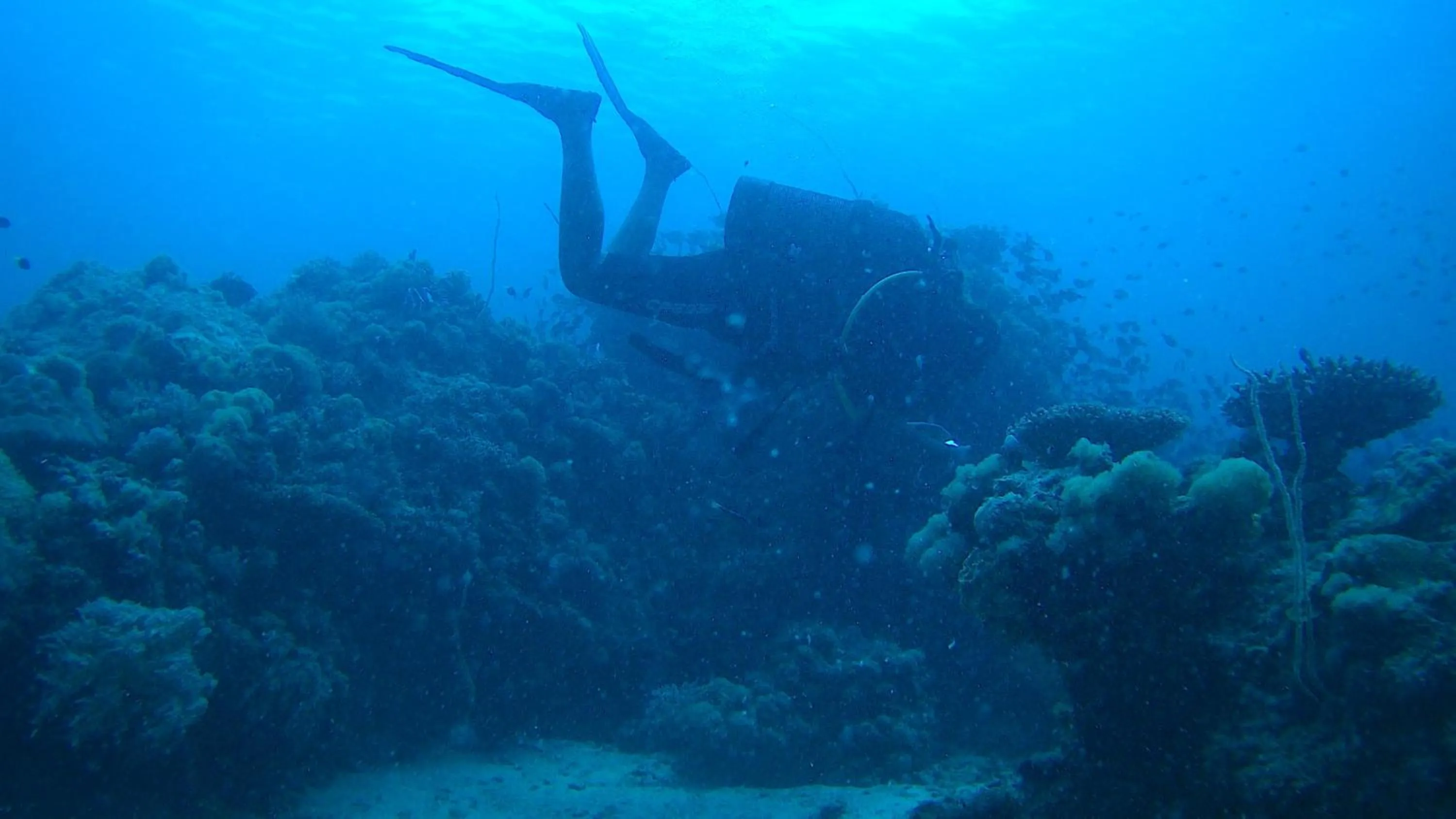 Off site in Fumba Beach Lodge