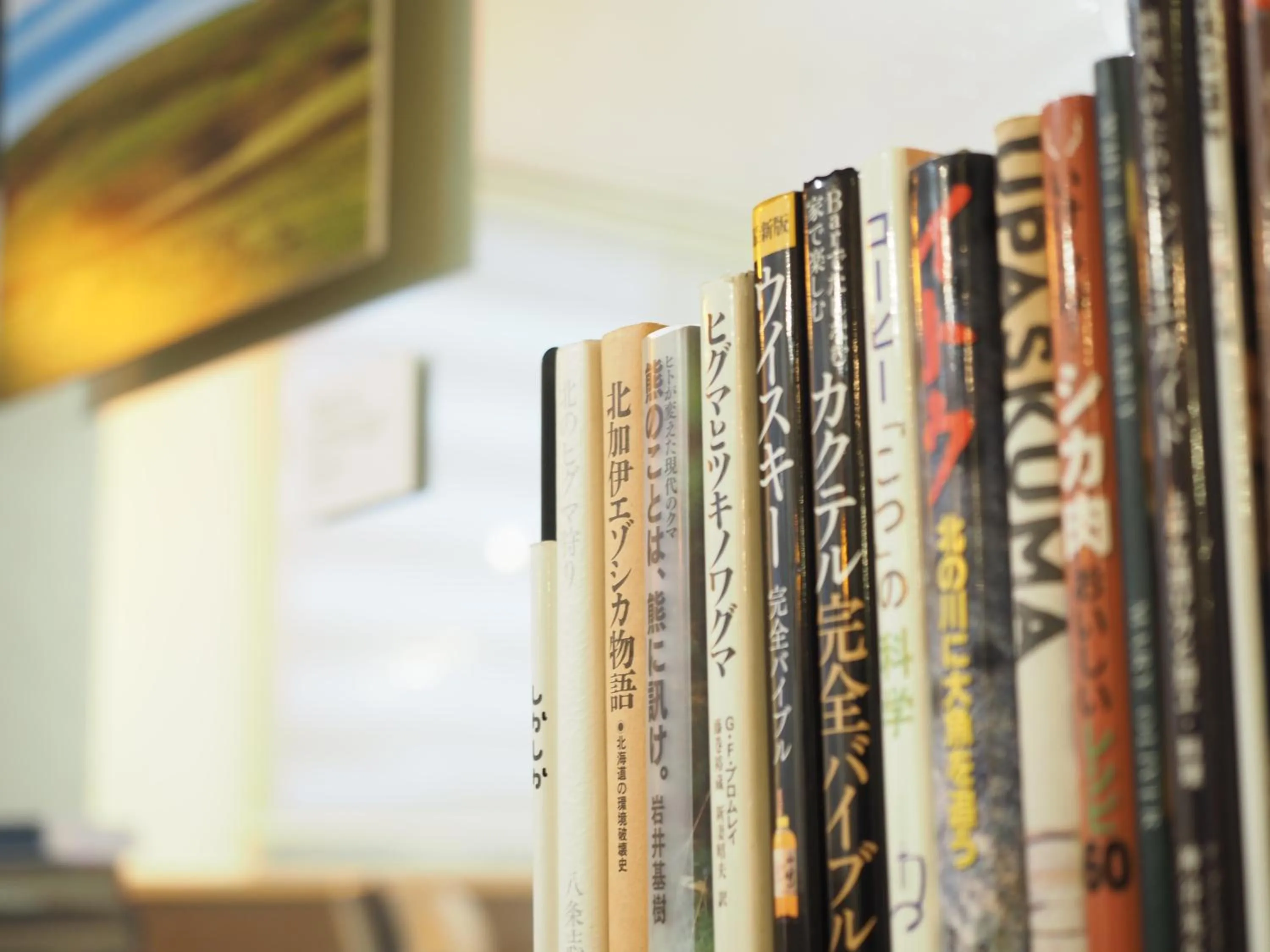 Library in Guest House Moshiripa