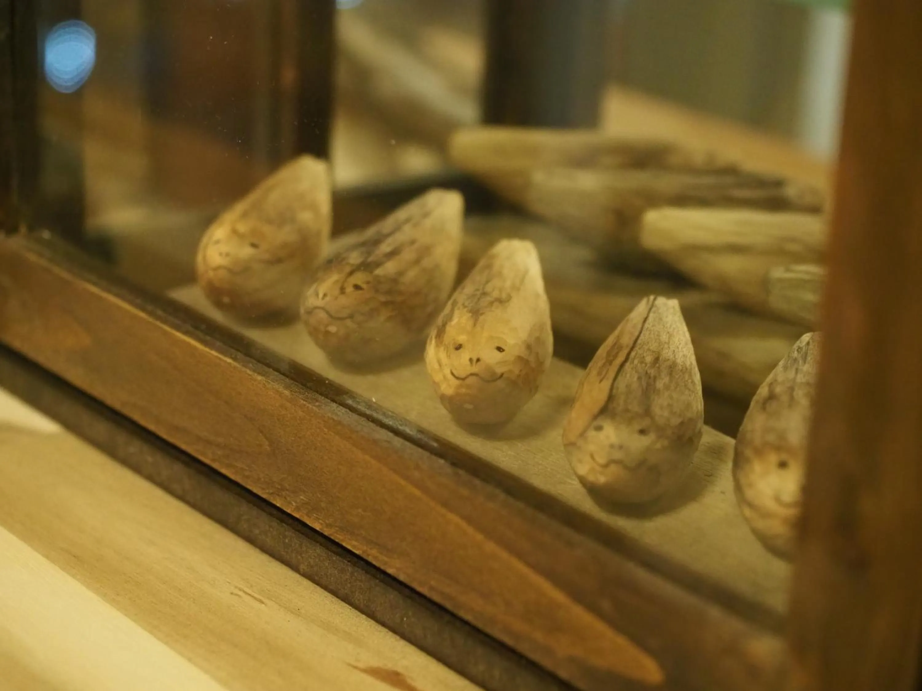 Area and facilities in Guest House Moshiripa