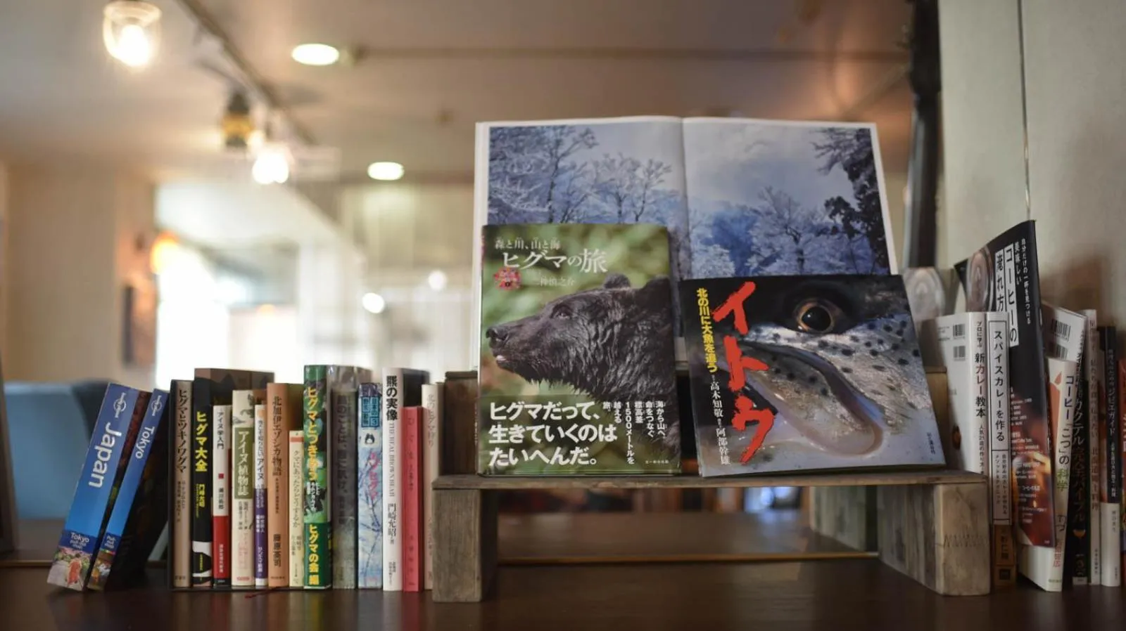 Library in Guest House Moshiripa