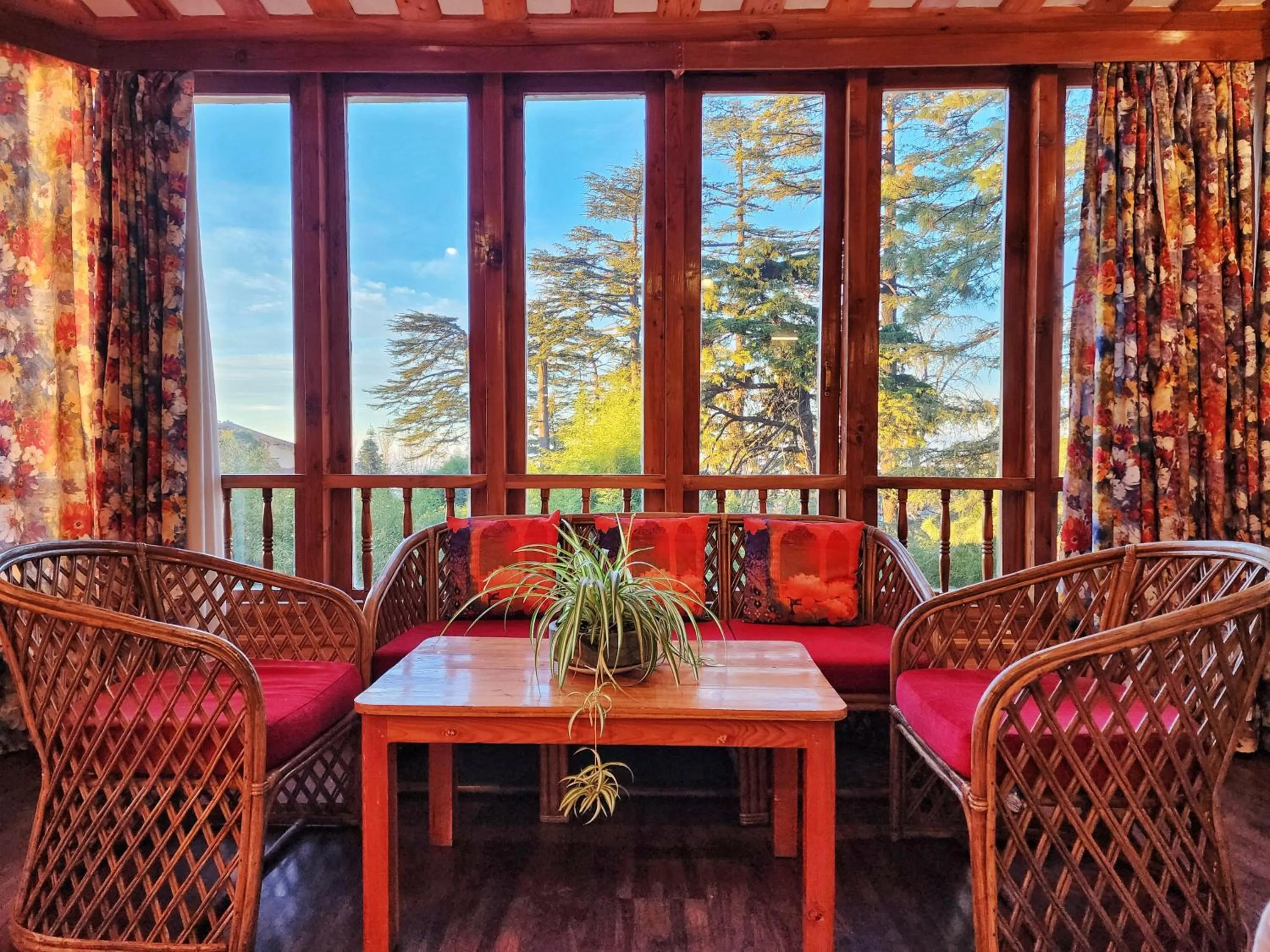 Hotel Pineview Shimla