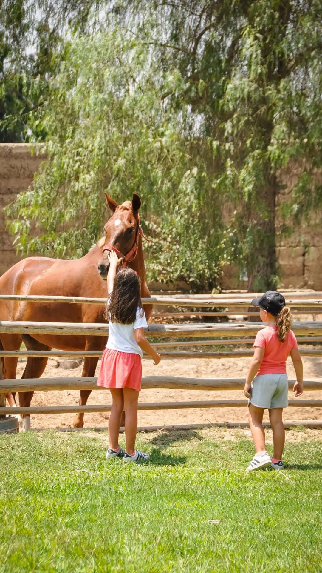 Children play ground in Casa Hacienda San Jose