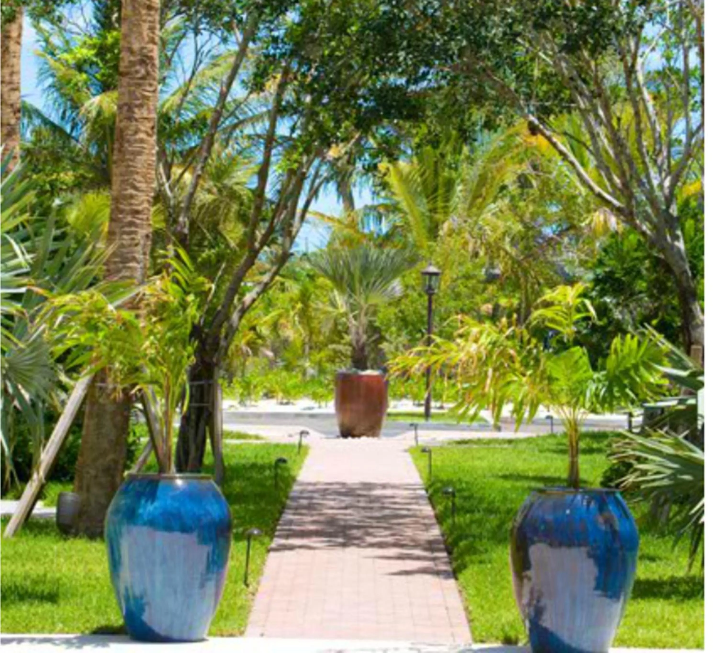 Garden in Villa del Mar