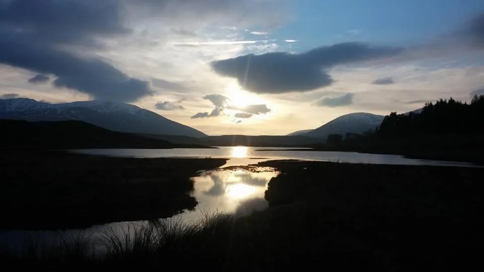 Natural landscape in Ledgowan Lodge Hotel