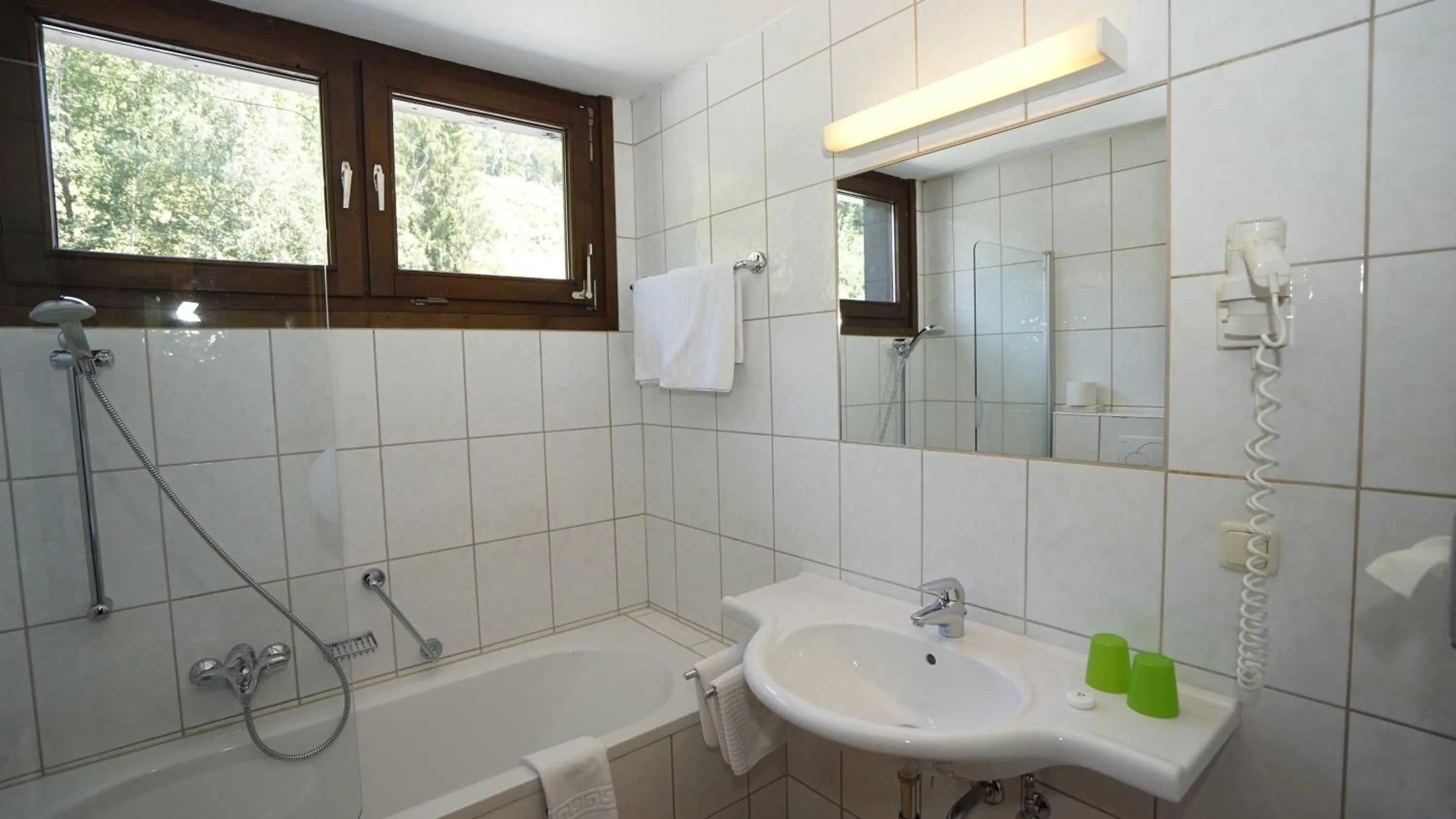 Bathroom in Hotel LukasMayr