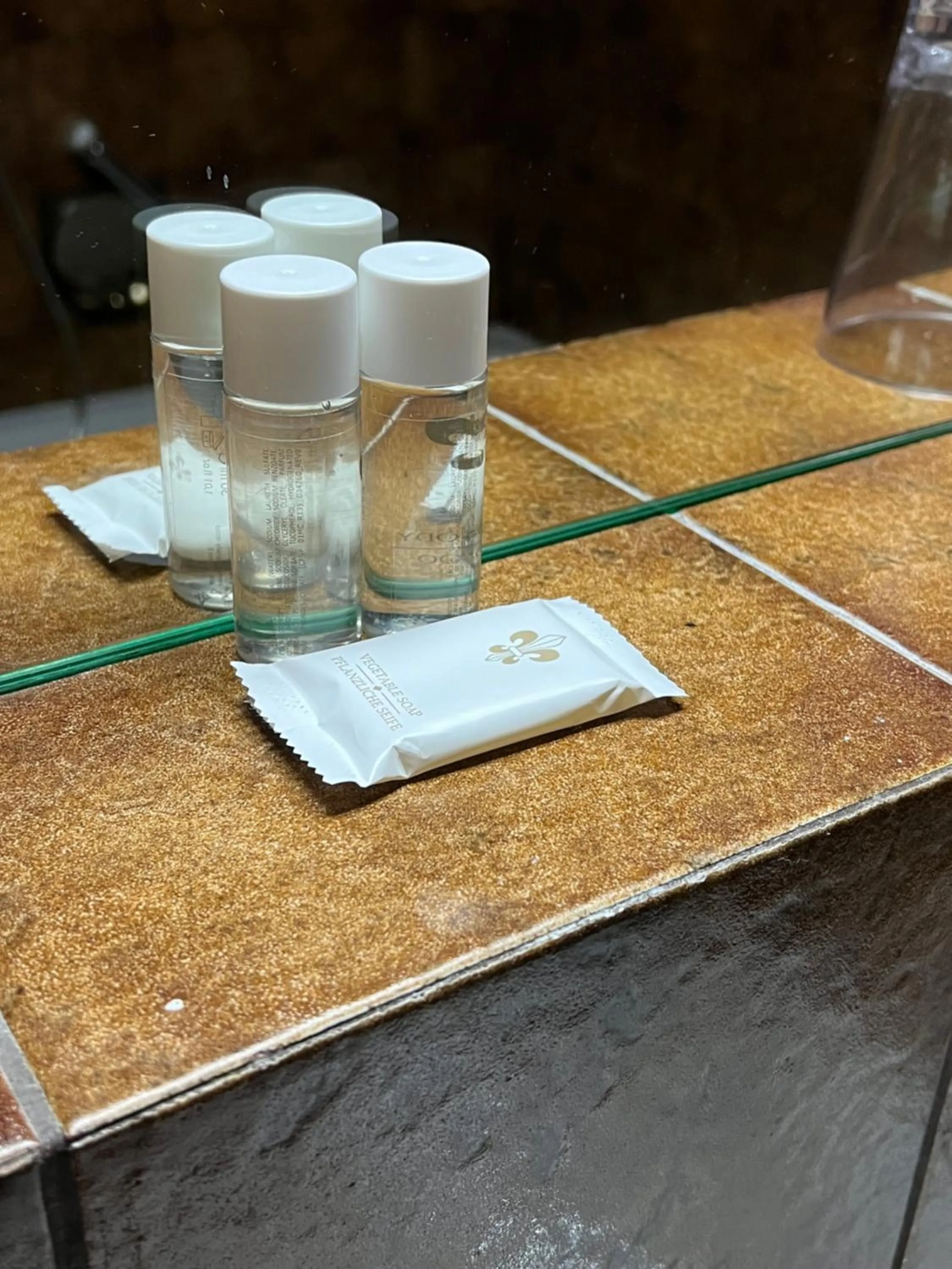 Bathroom in Hotel LukasMayr