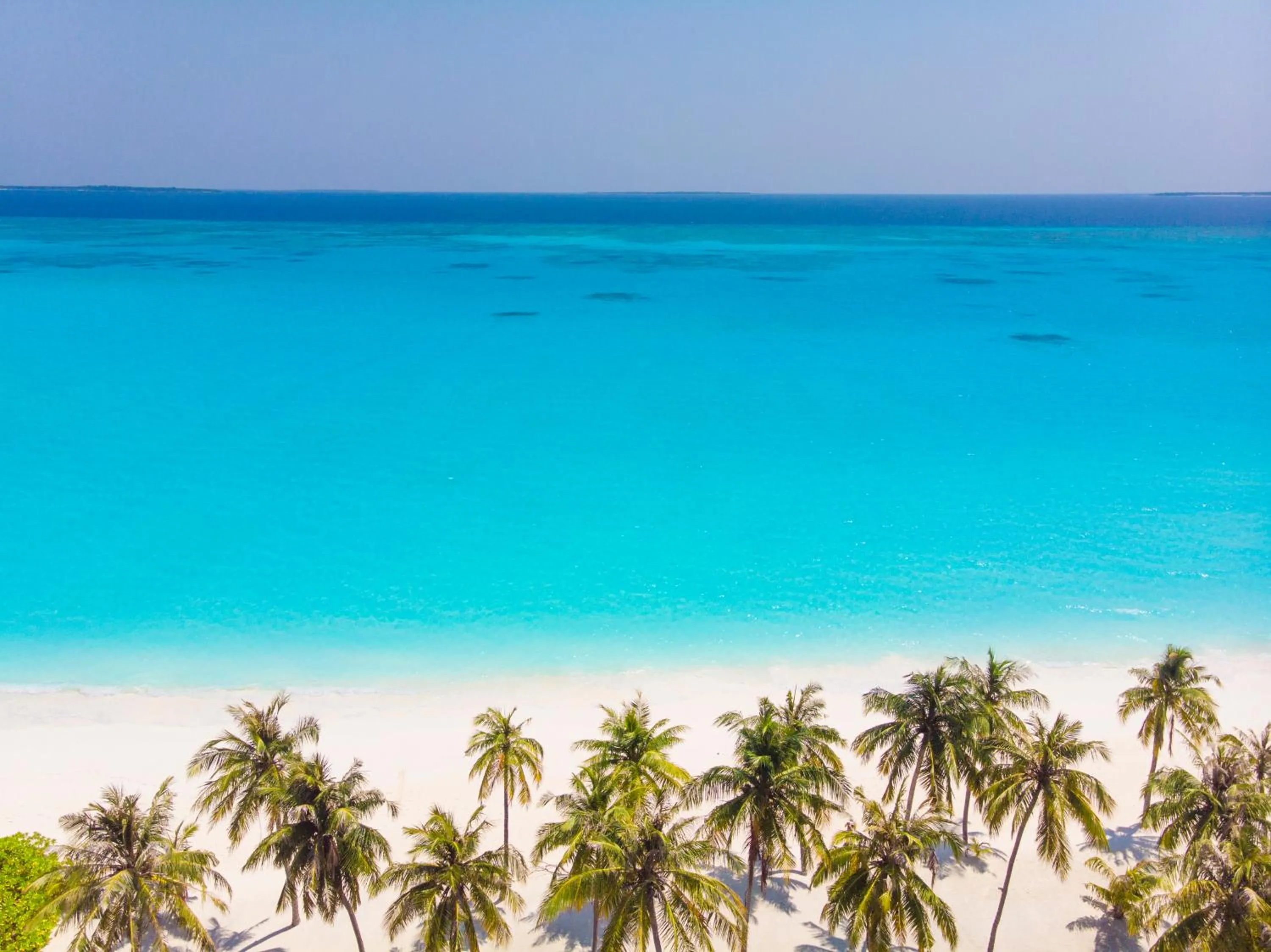 Beach in Hondaafushi Island Resort