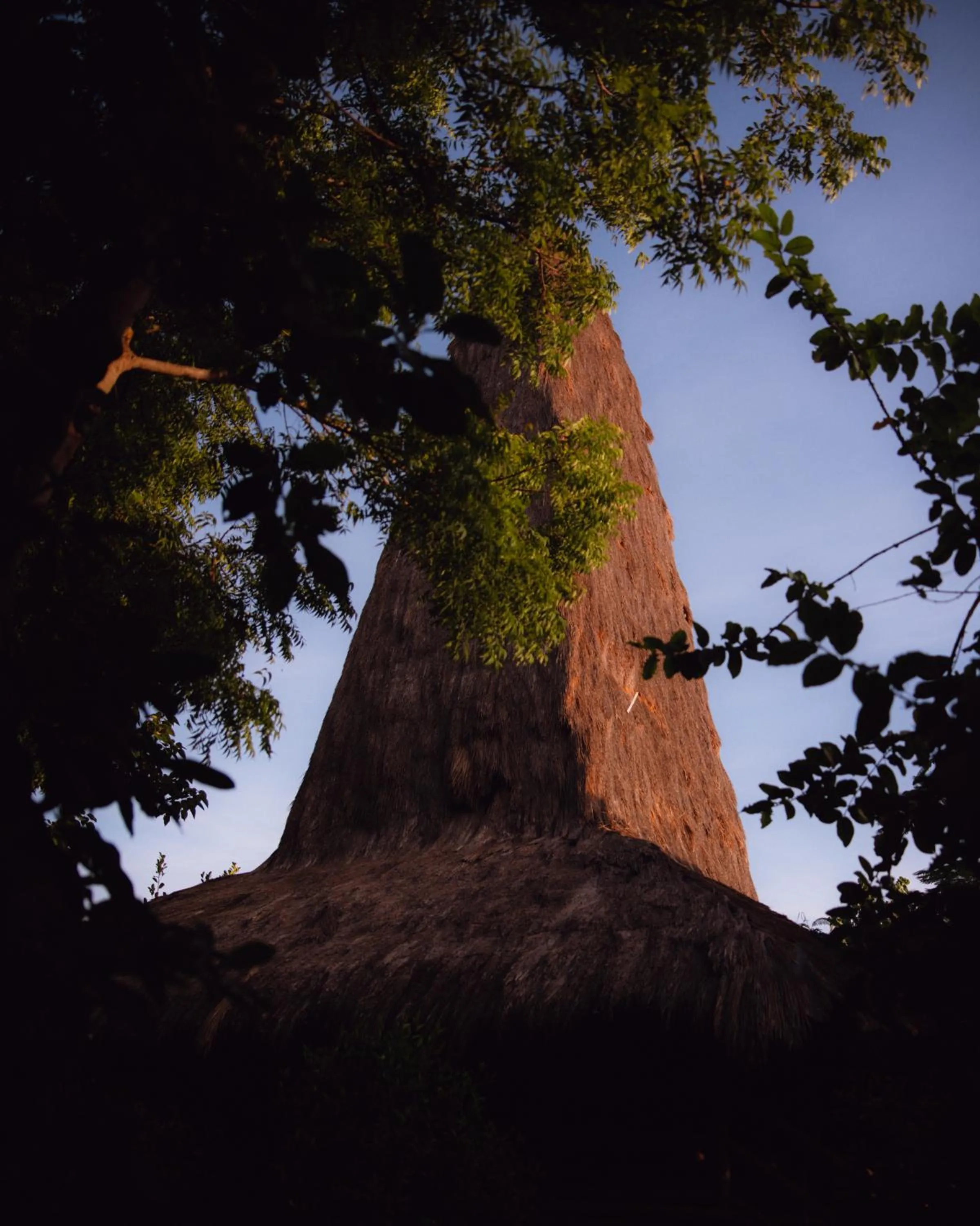 Lobby or reception in Maringi Sumba by the Sumba Hospitality Foundation