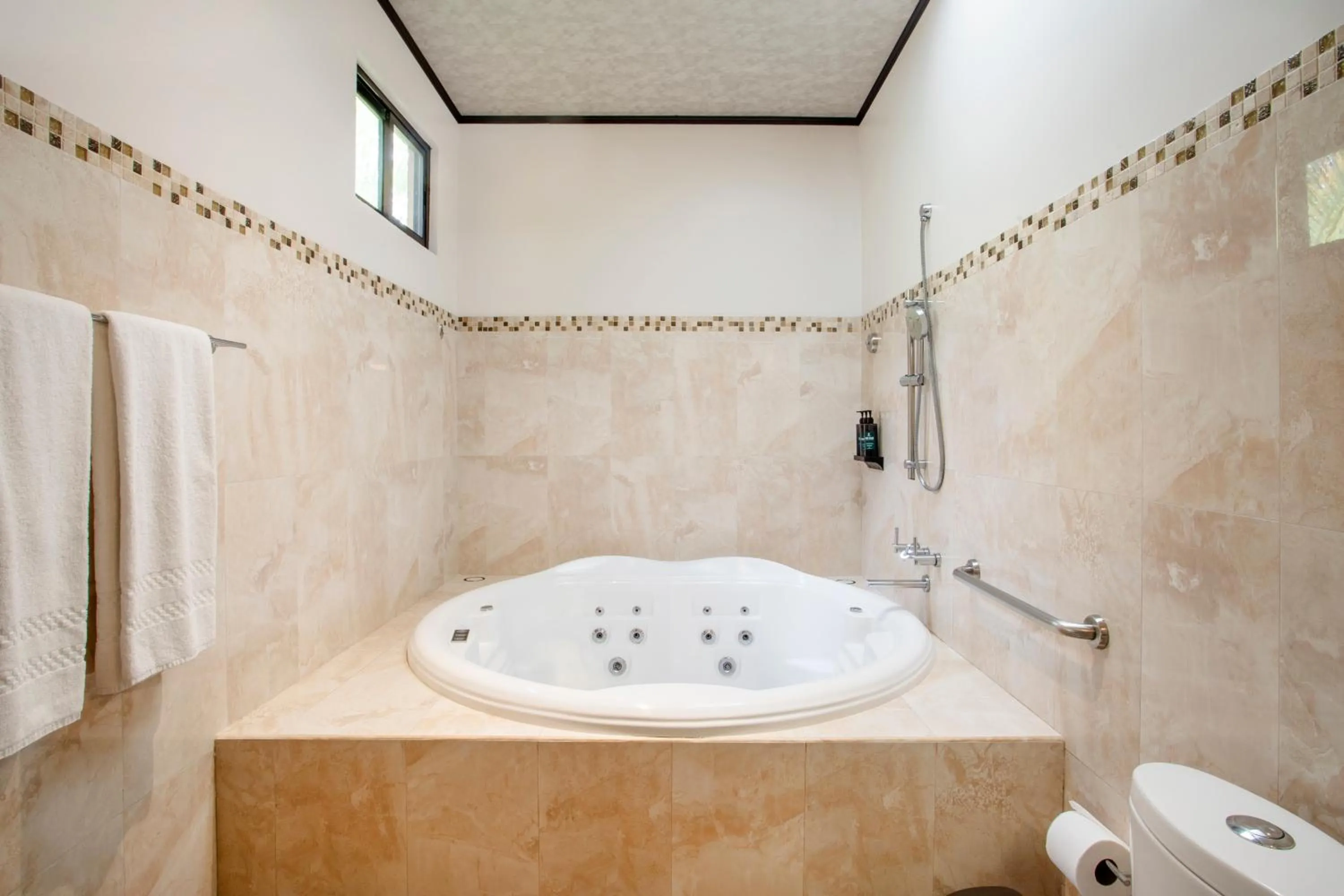 Bathroom in Arenal Manoa Resort & Hot Springs