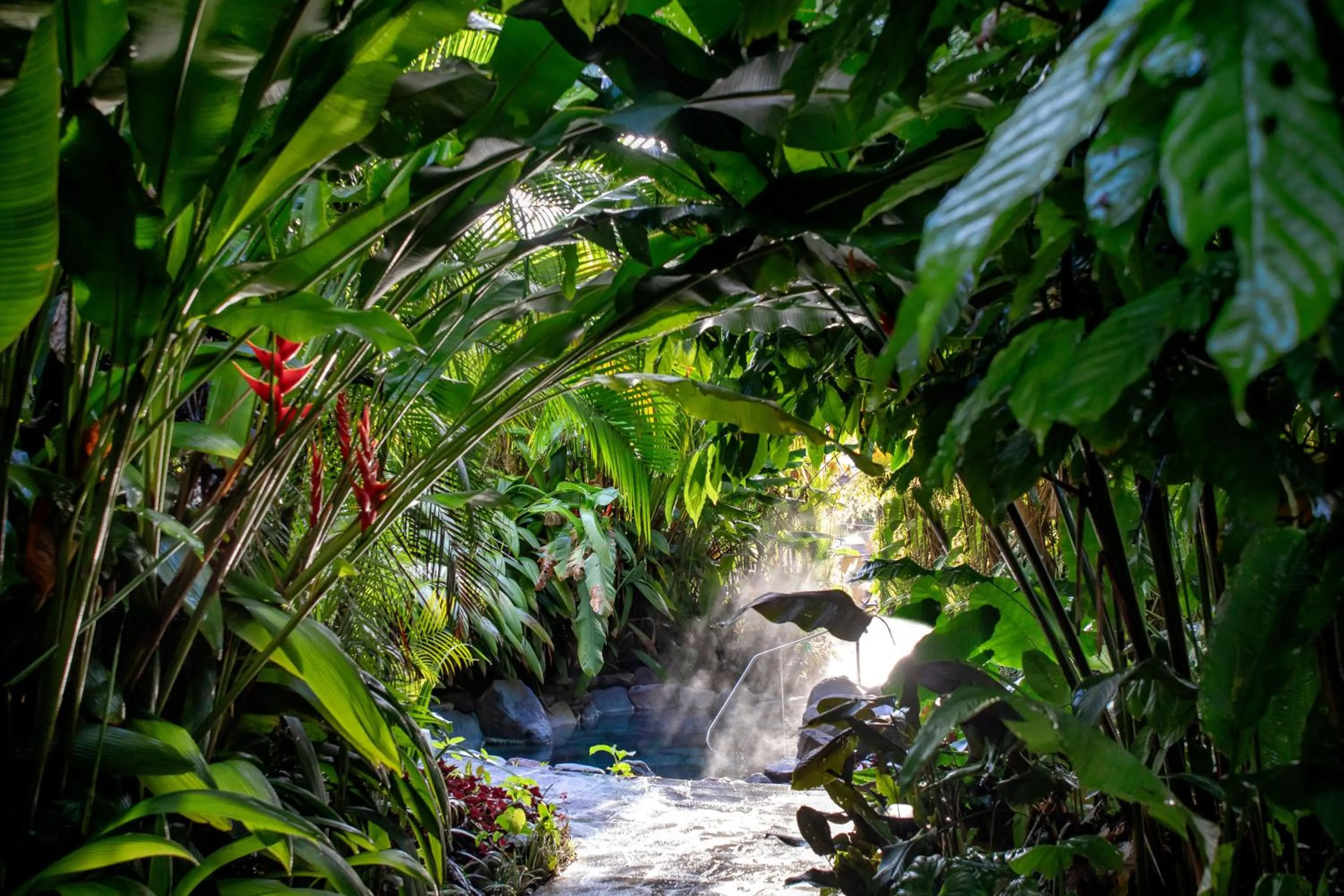 Swimming pool in Arenal Manoa Resort & Hot Springs