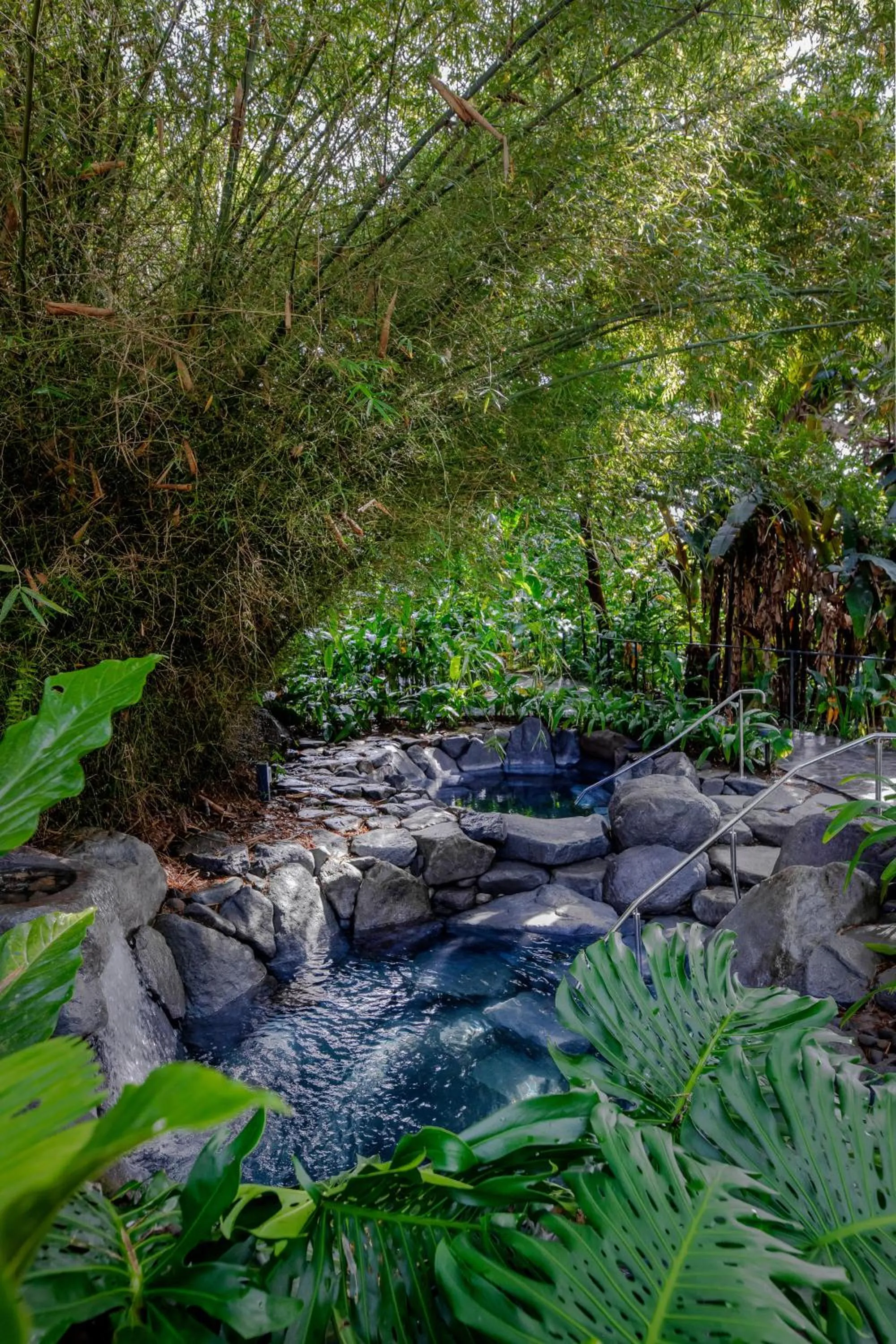 Swimming pool in Arenal Manoa Resort & Hot Springs
