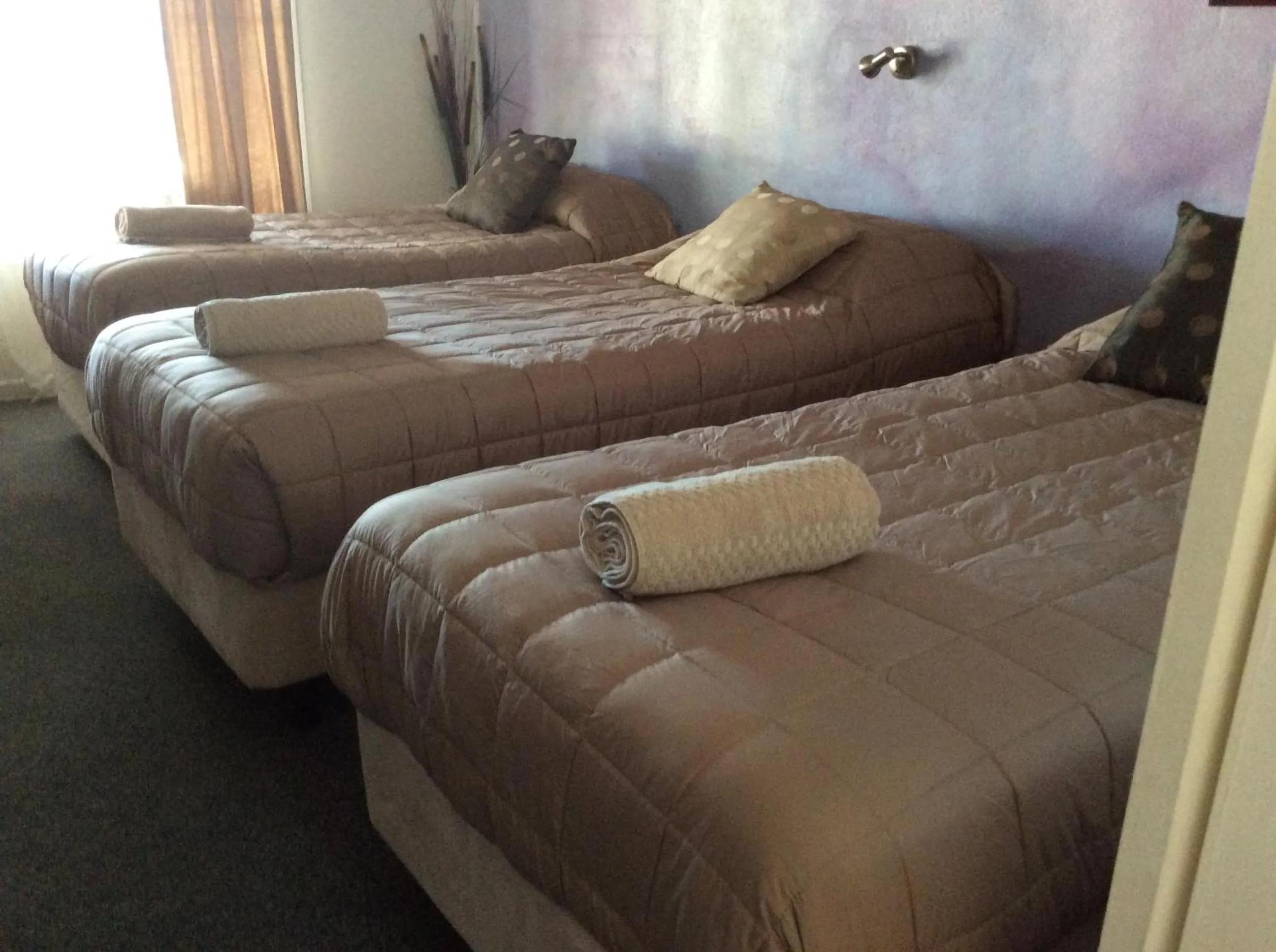 Staff, Bed in Kingaroy Country Motel