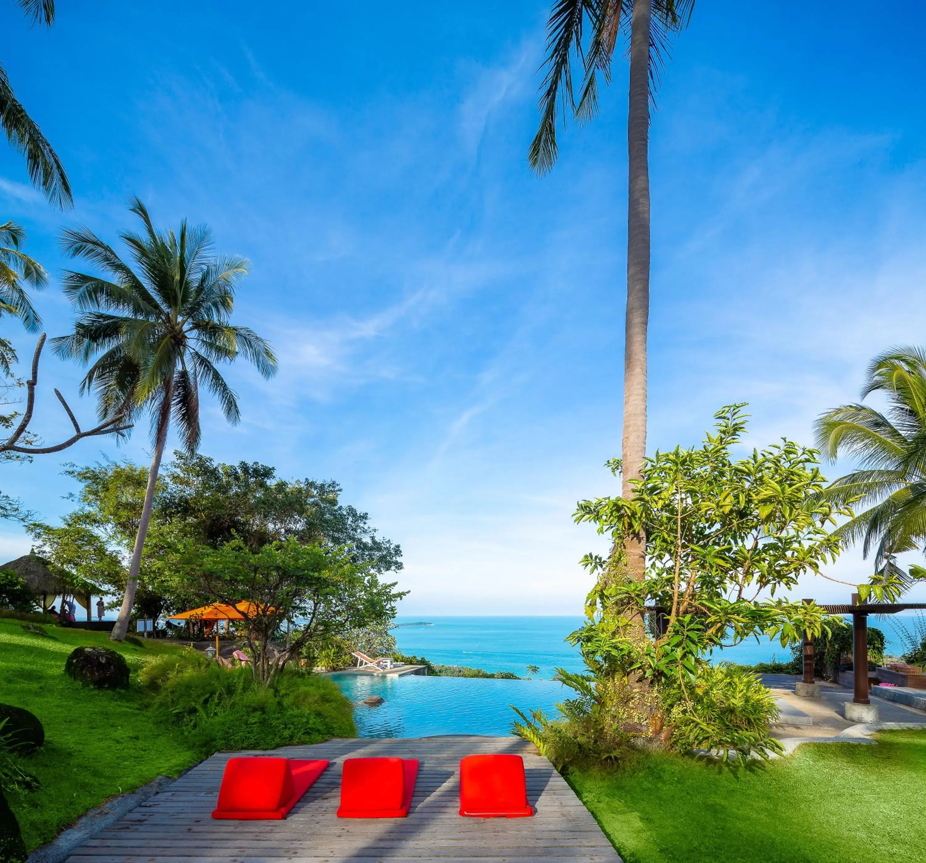 The Jungle Club - SHA Extra Plus The Jungle Club - SHA Extra Plus