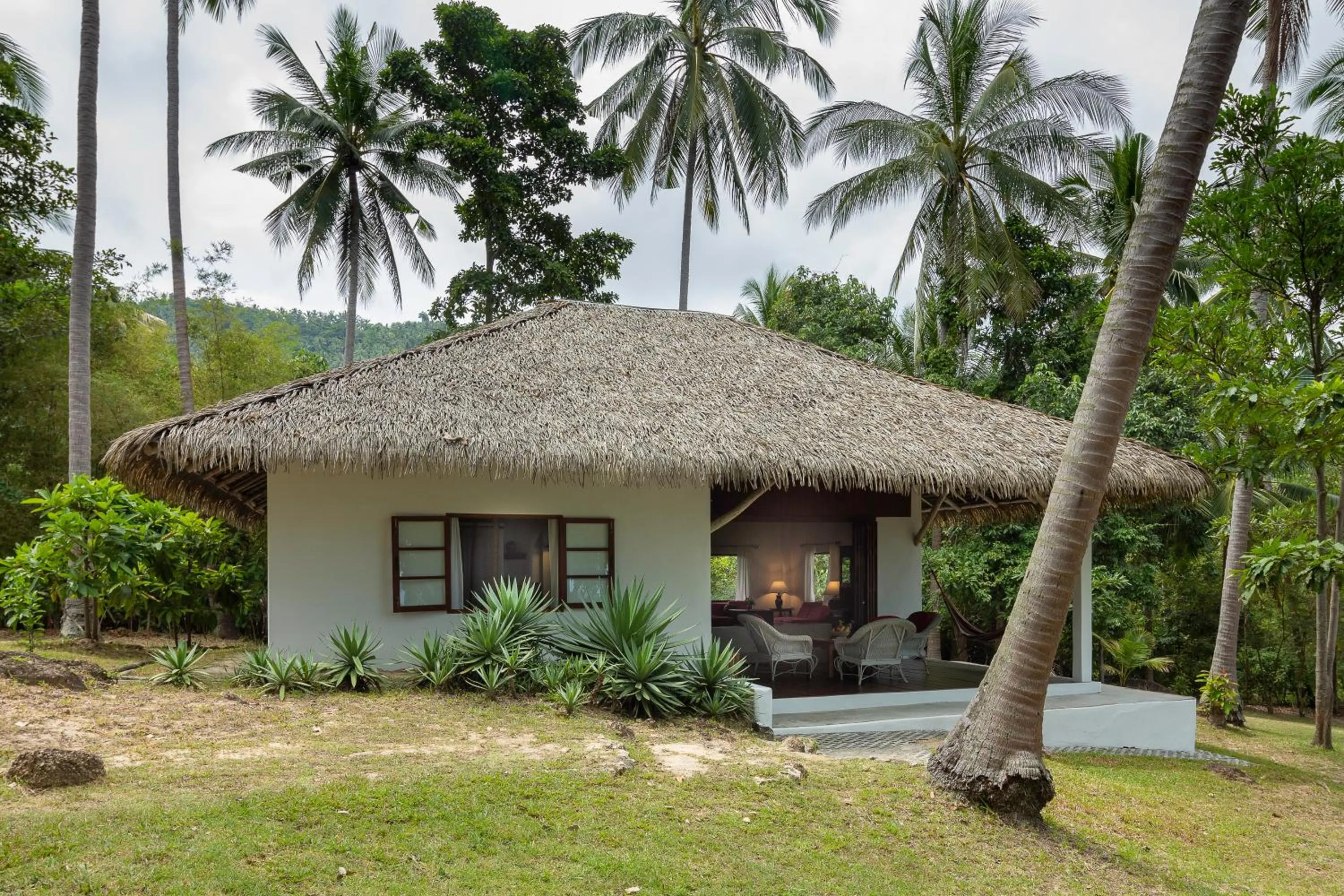 Property building in The Jungle Club - SHA Extra Plus