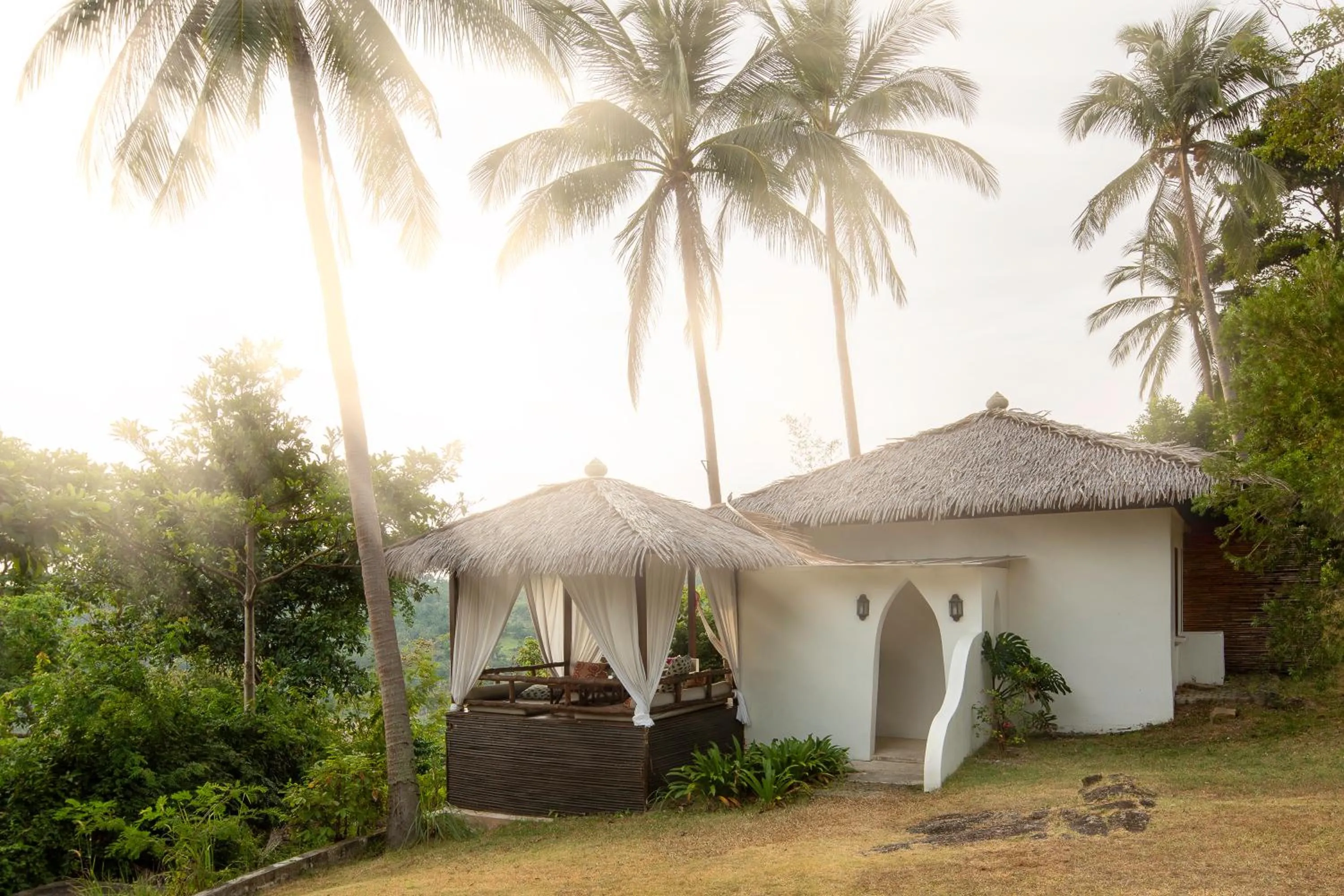 Property building in The Jungle Club - SHA Extra Plus