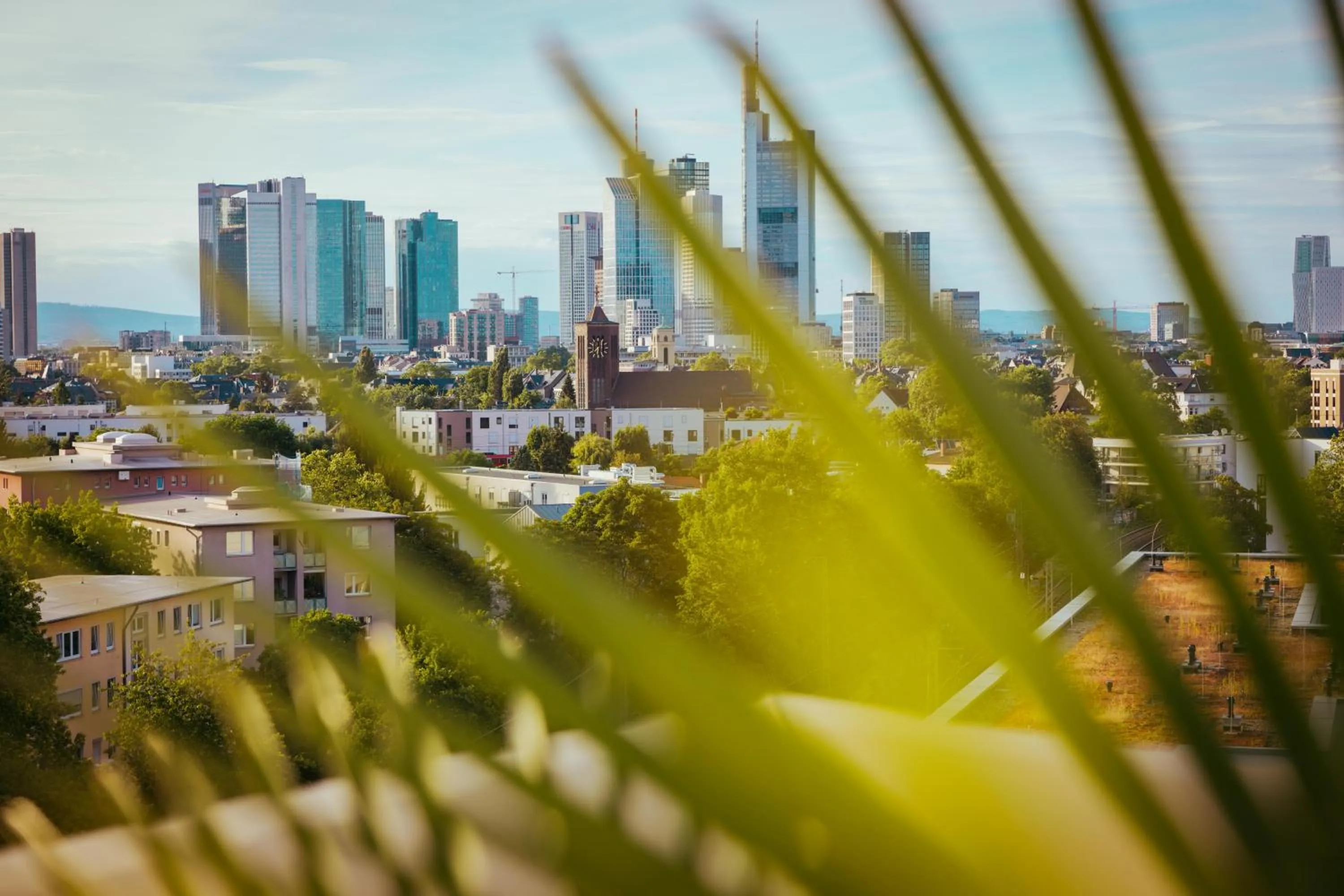 Restaurant/places to eat in The Blasky