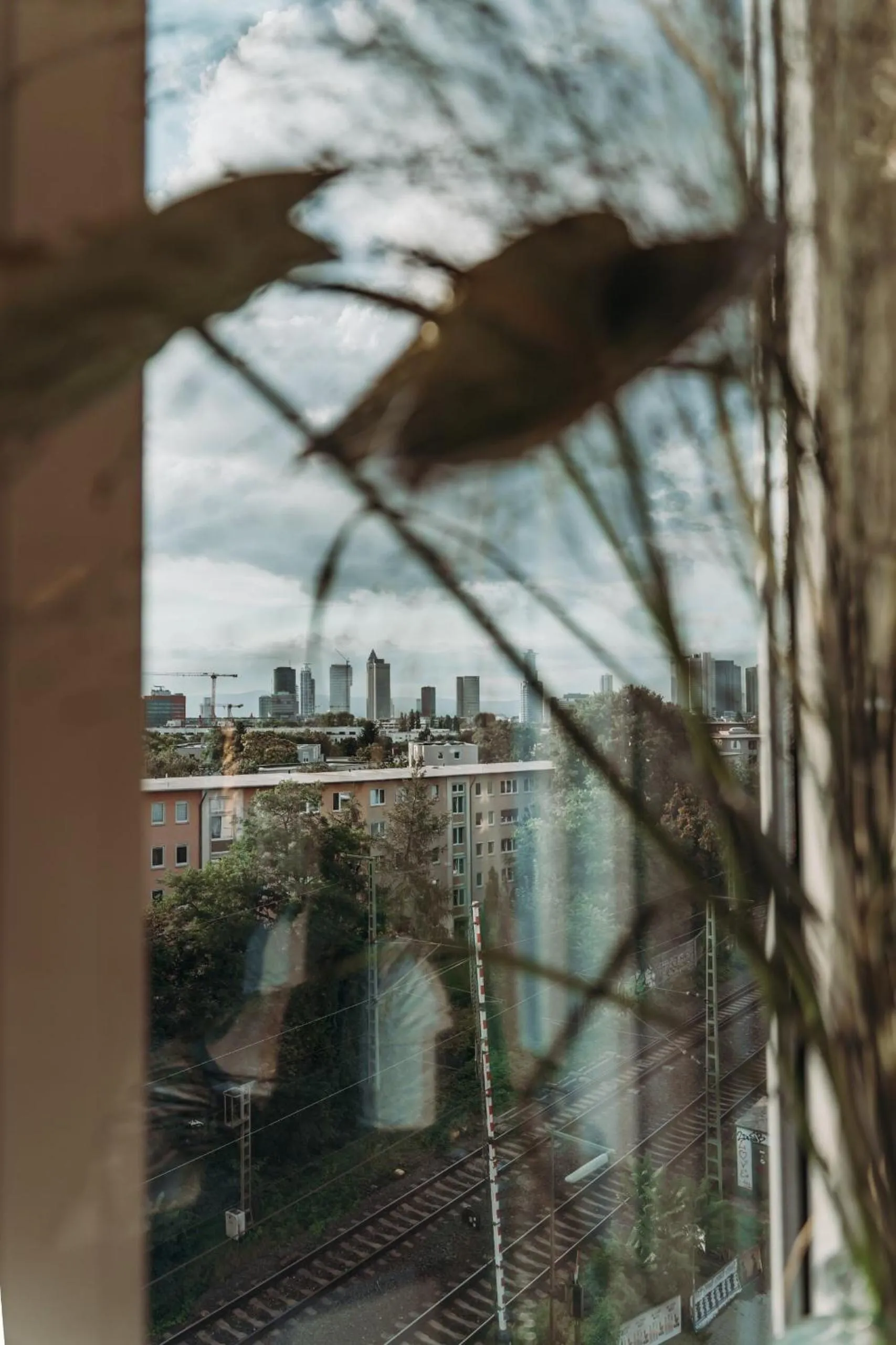 City view in The Blasky