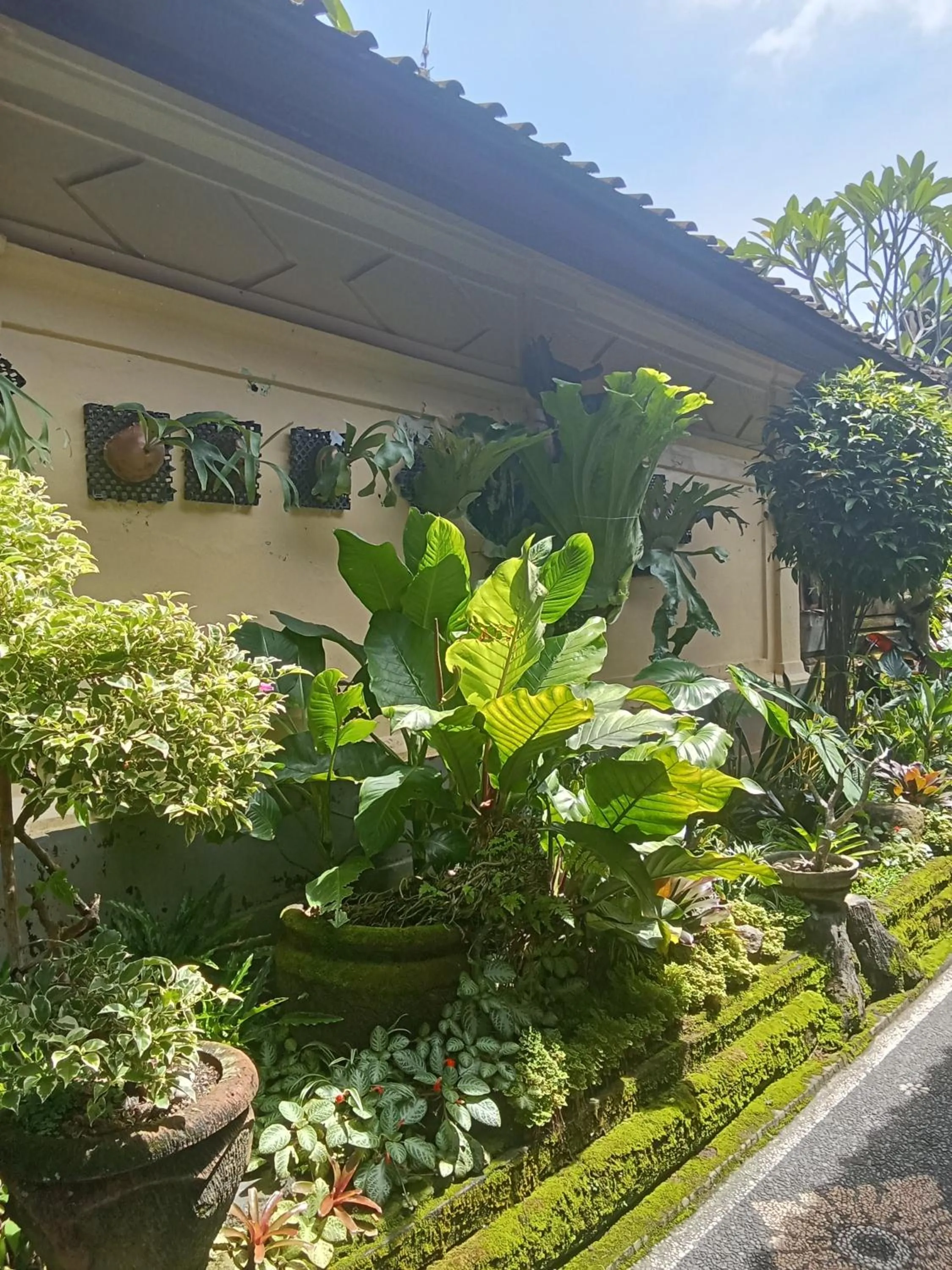 Dewi Antara Homestay