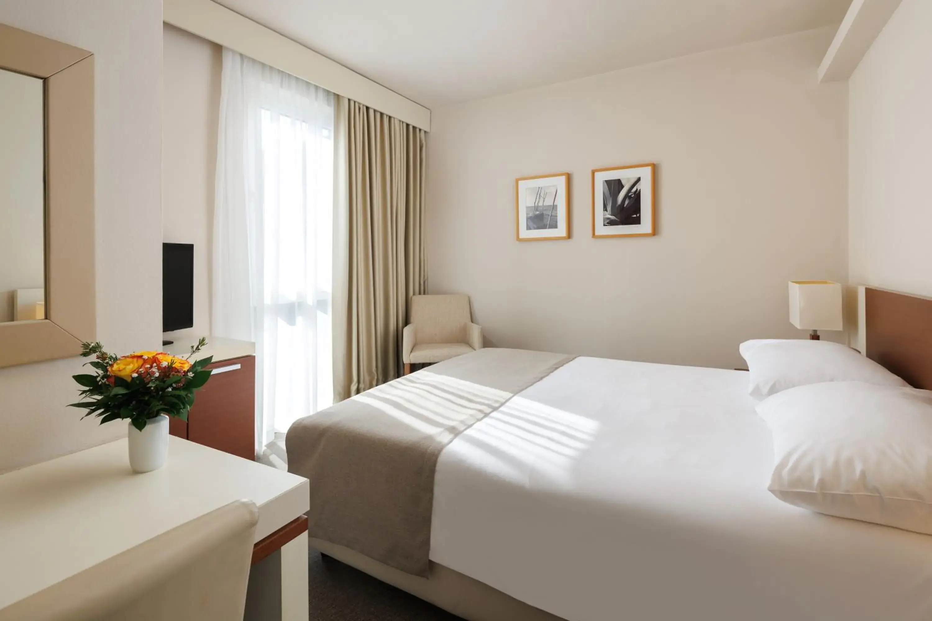 Economy Room in Hotel Albatros Plava Laguna Economy Room in Hotel Albatros Plava Laguna