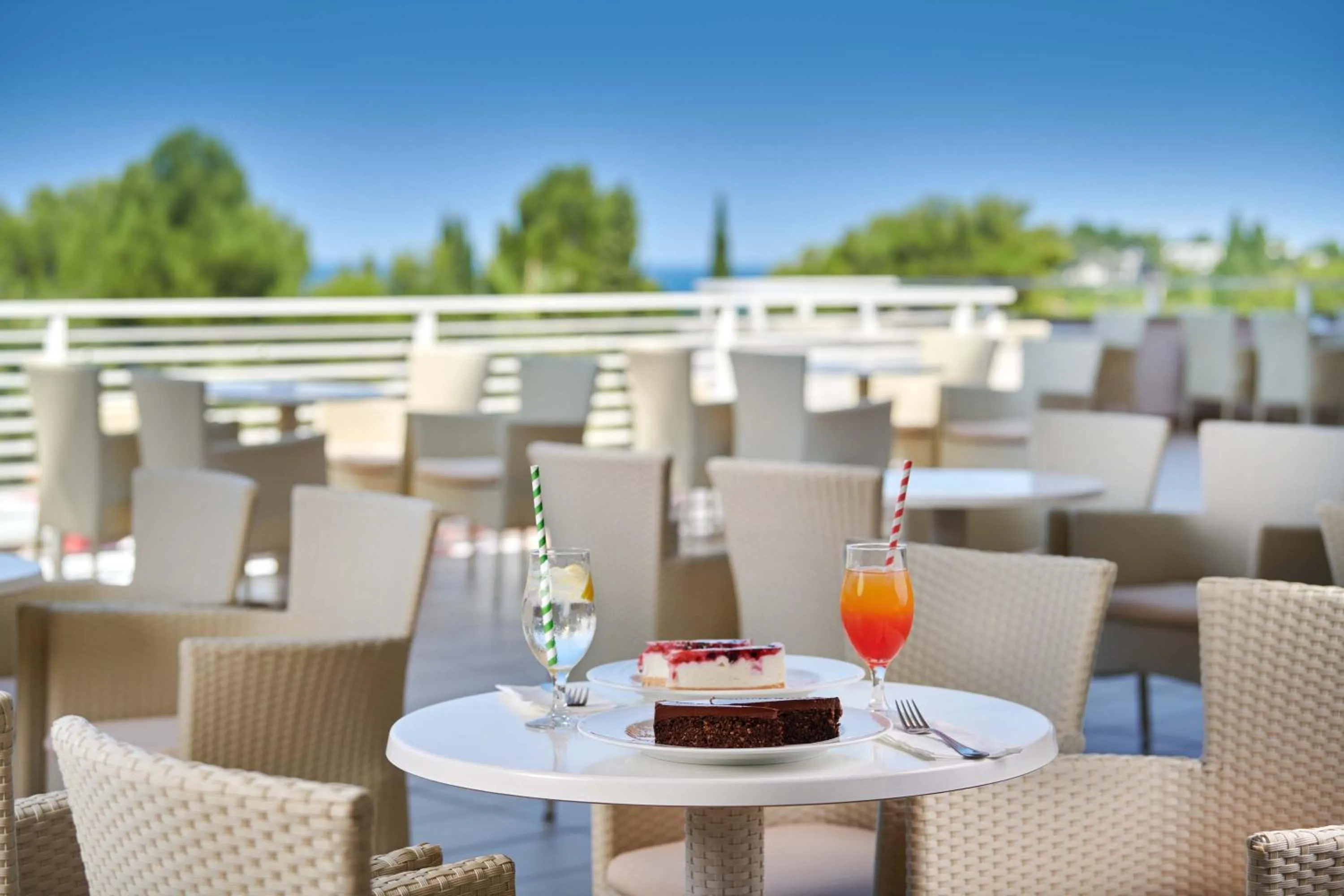 Lounge or bar in Hotel Albatros Plava Laguna