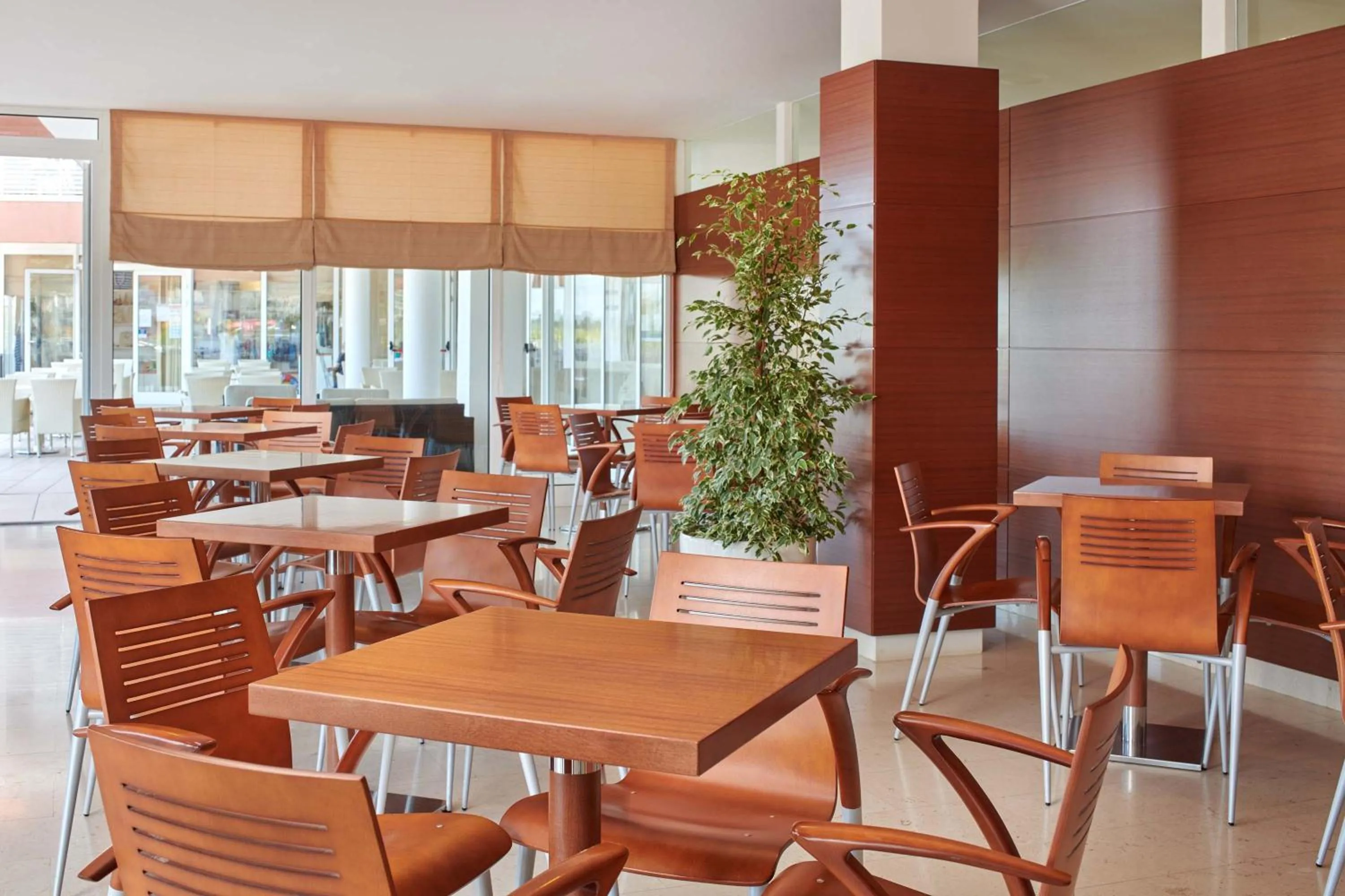 Restaurant/places to eat in Hotel Albatros Plava Laguna