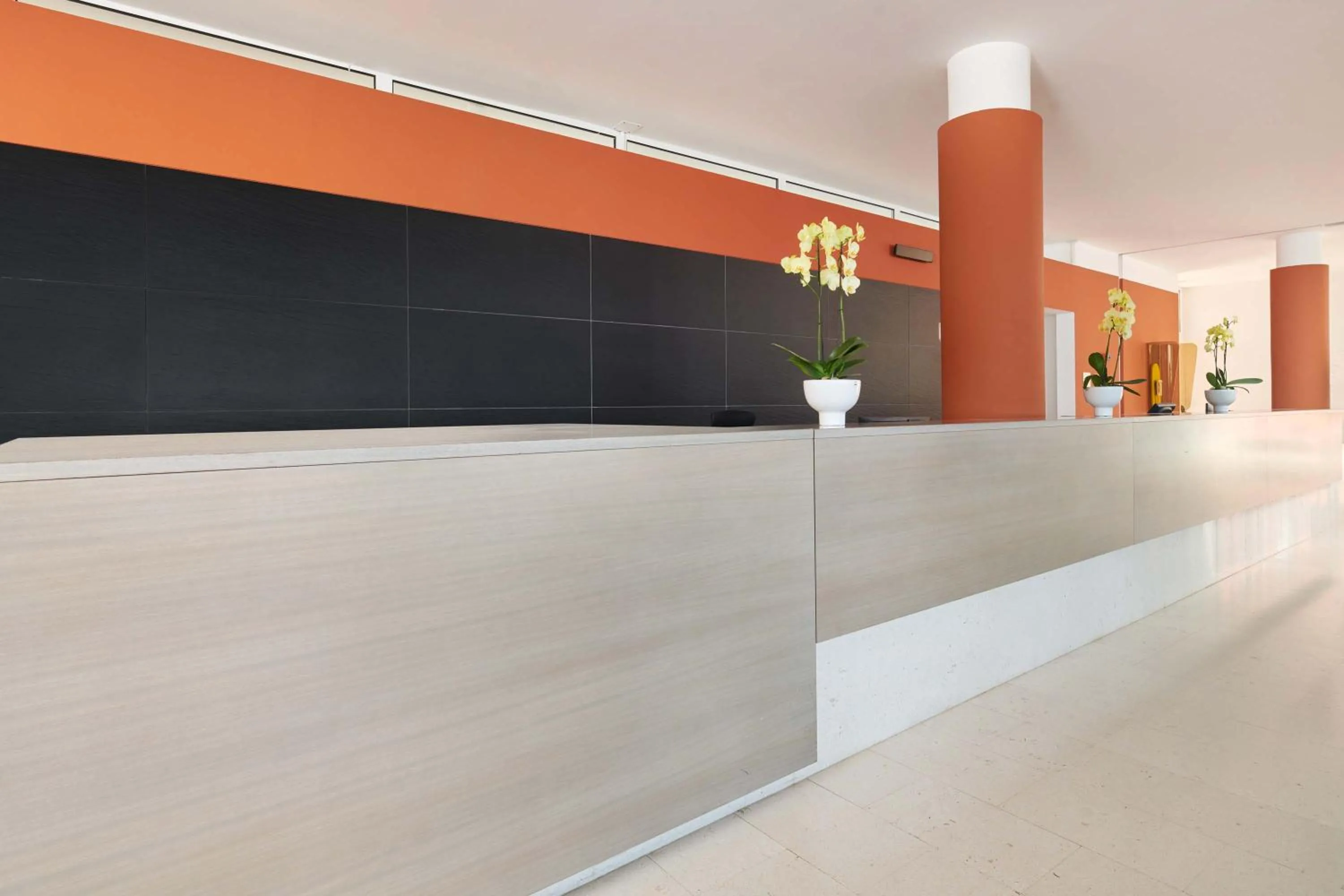 Lobby or reception in Hotel Albatros Plava Laguna