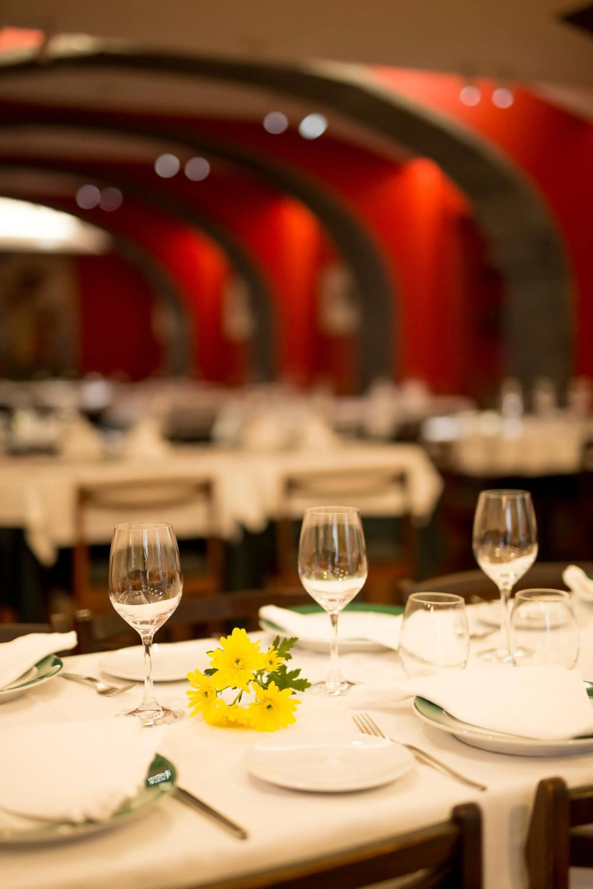 Lunch in Hotel Alcides