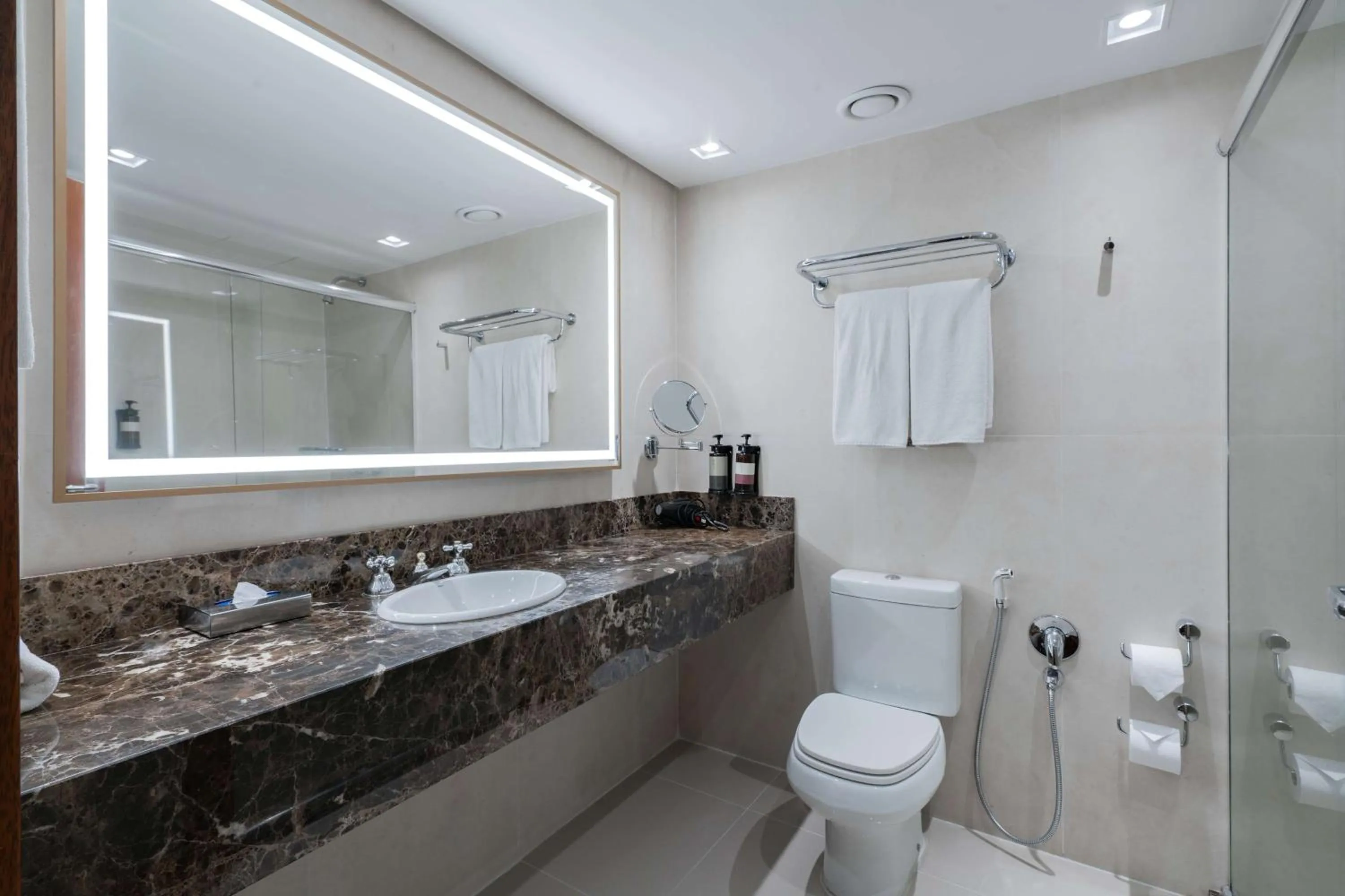 Bathroom in Hilton Porto Alegre, Brazil