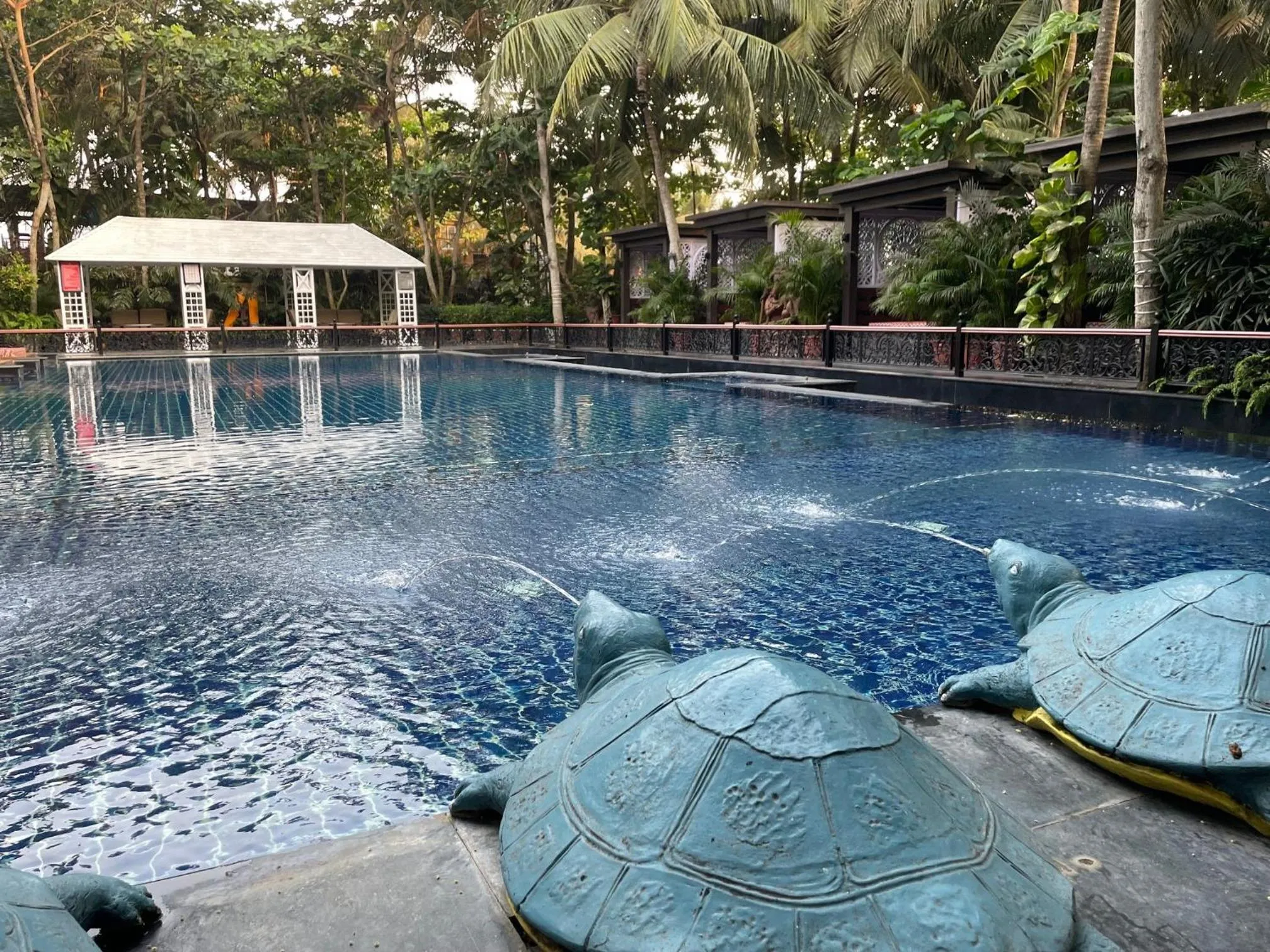 Swimming pool in Mayfair Palm Beach Resort