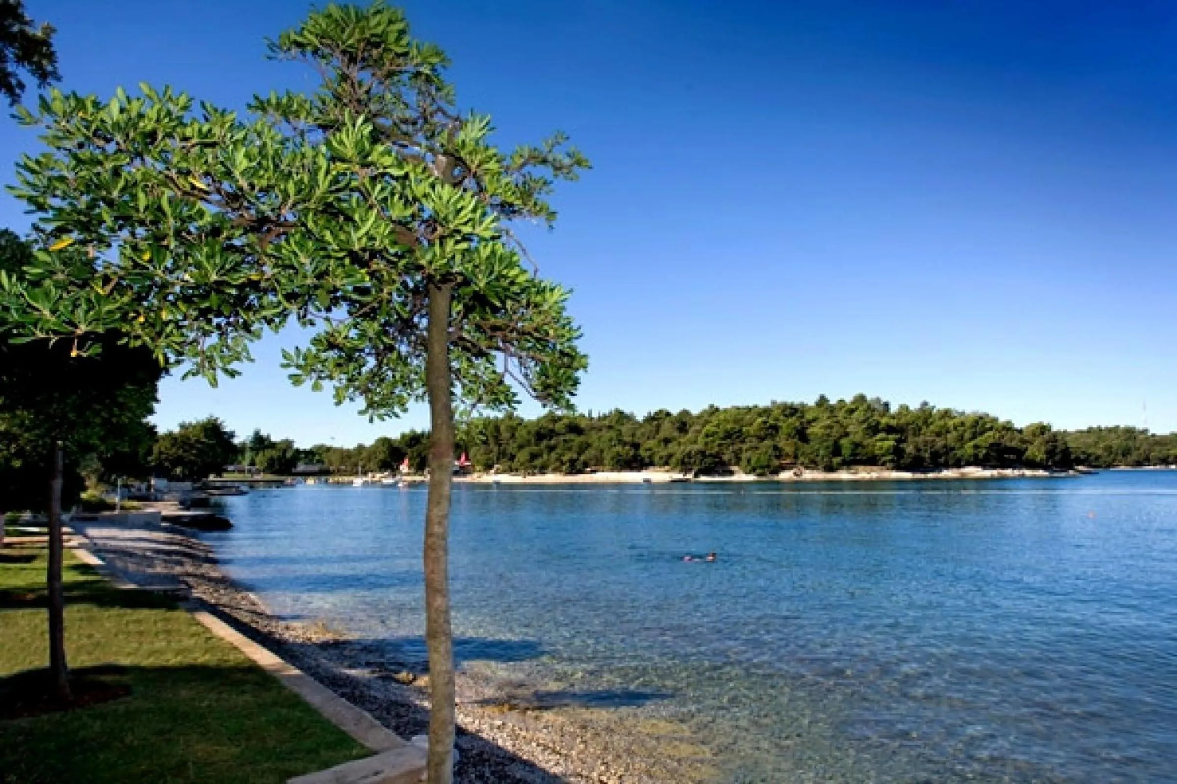 Beach in Hotel Zorna Plava Laguna