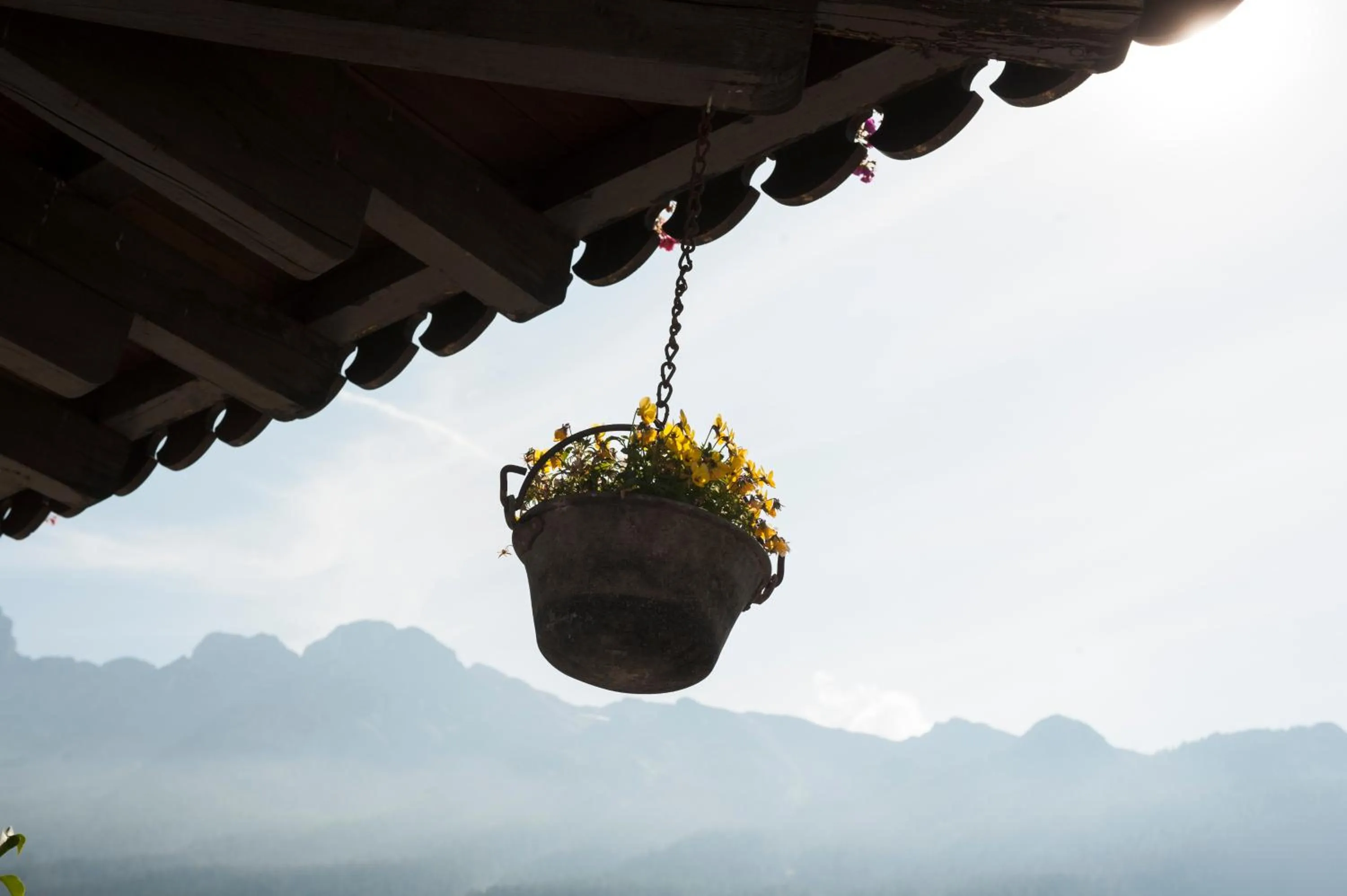 Decorative detail in Garnì Aurora Bed and Breakfast