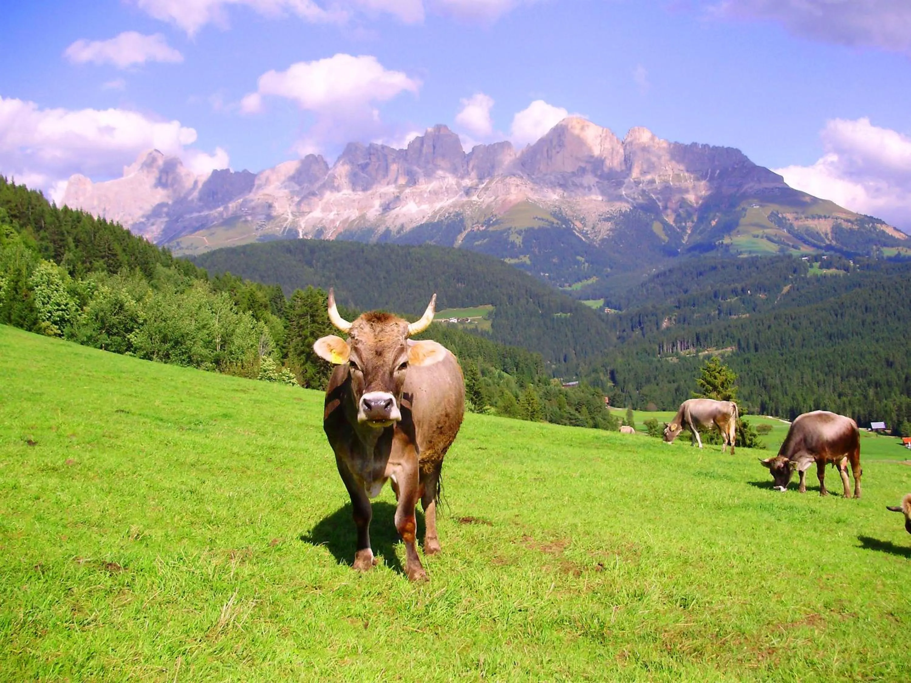 Summer in Garnì Aurora Bed and Breakfast