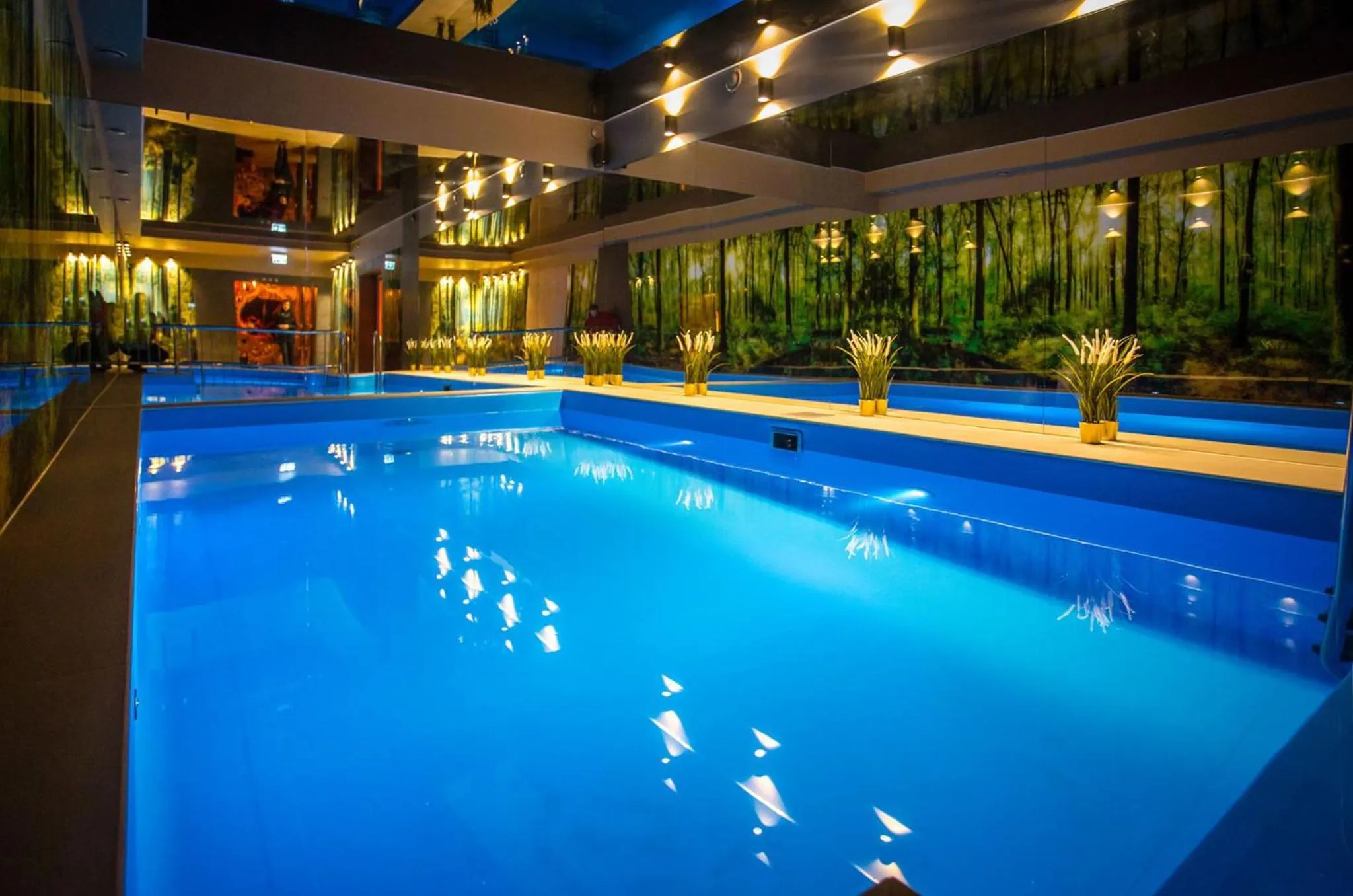 Swimming Pool in Srebrny Bucznik Wellness & Restaurant