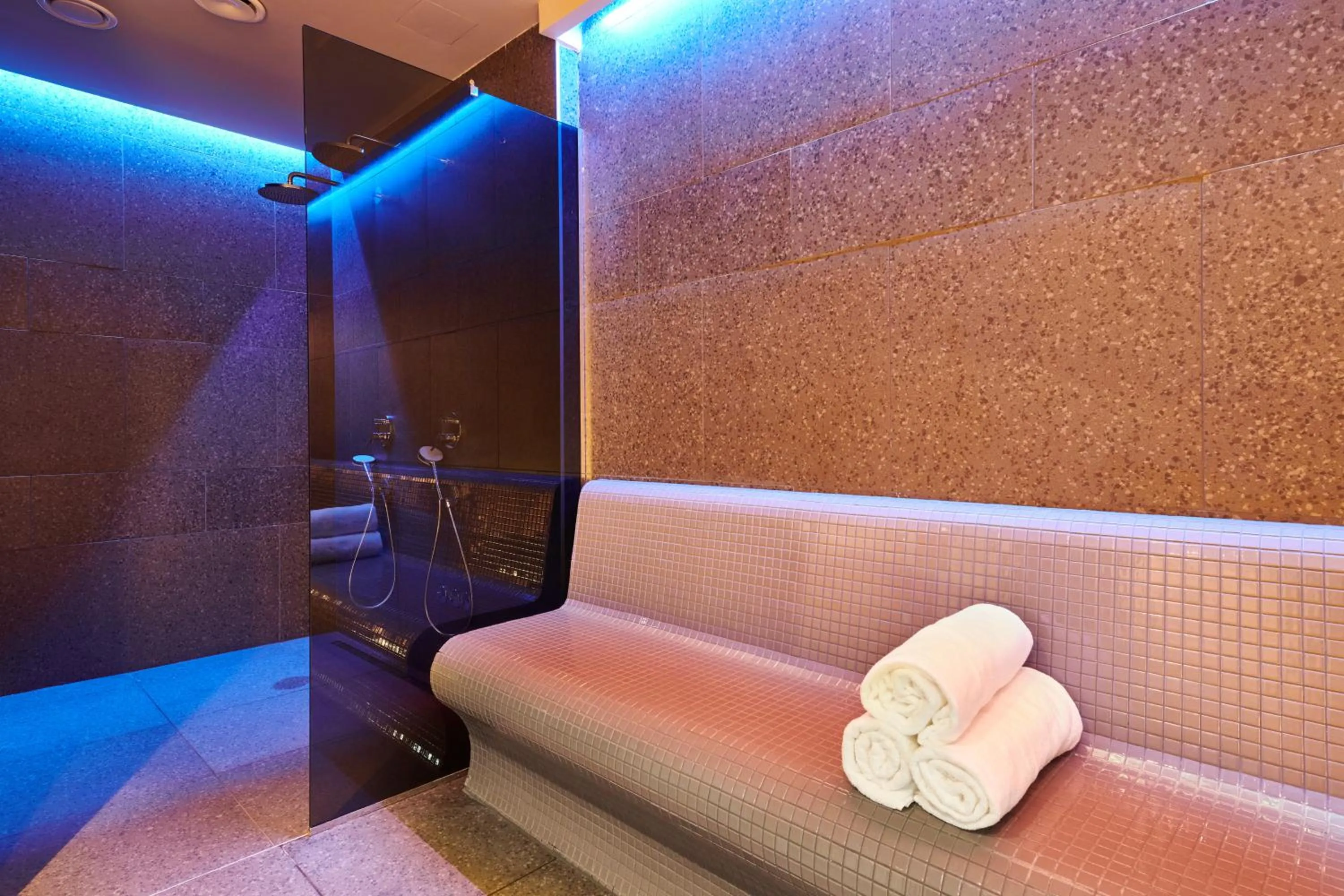 Spa and wellness centre/facilities in Hotel Park Plava Laguna
