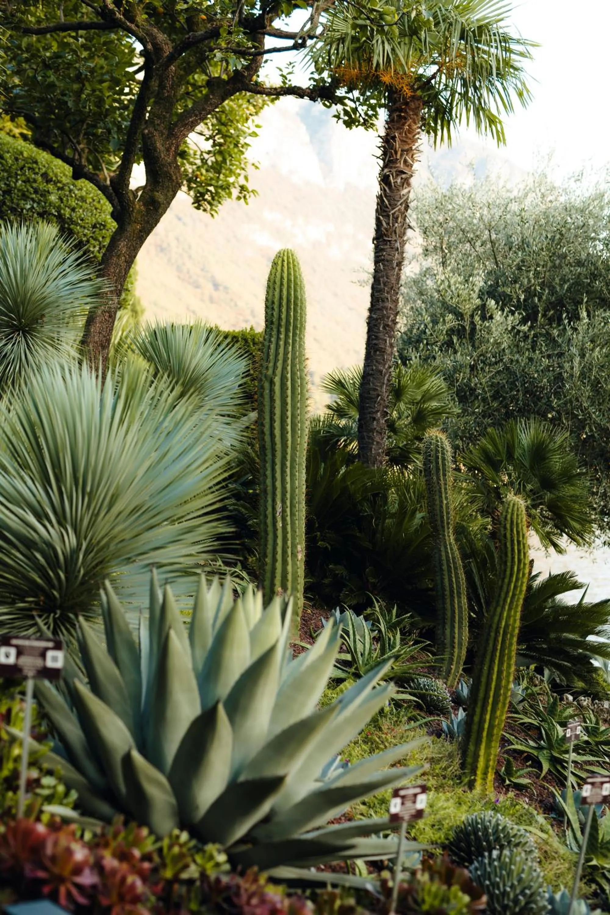 Garden in Hotel Villa Cipressi, by R Collection Hotels